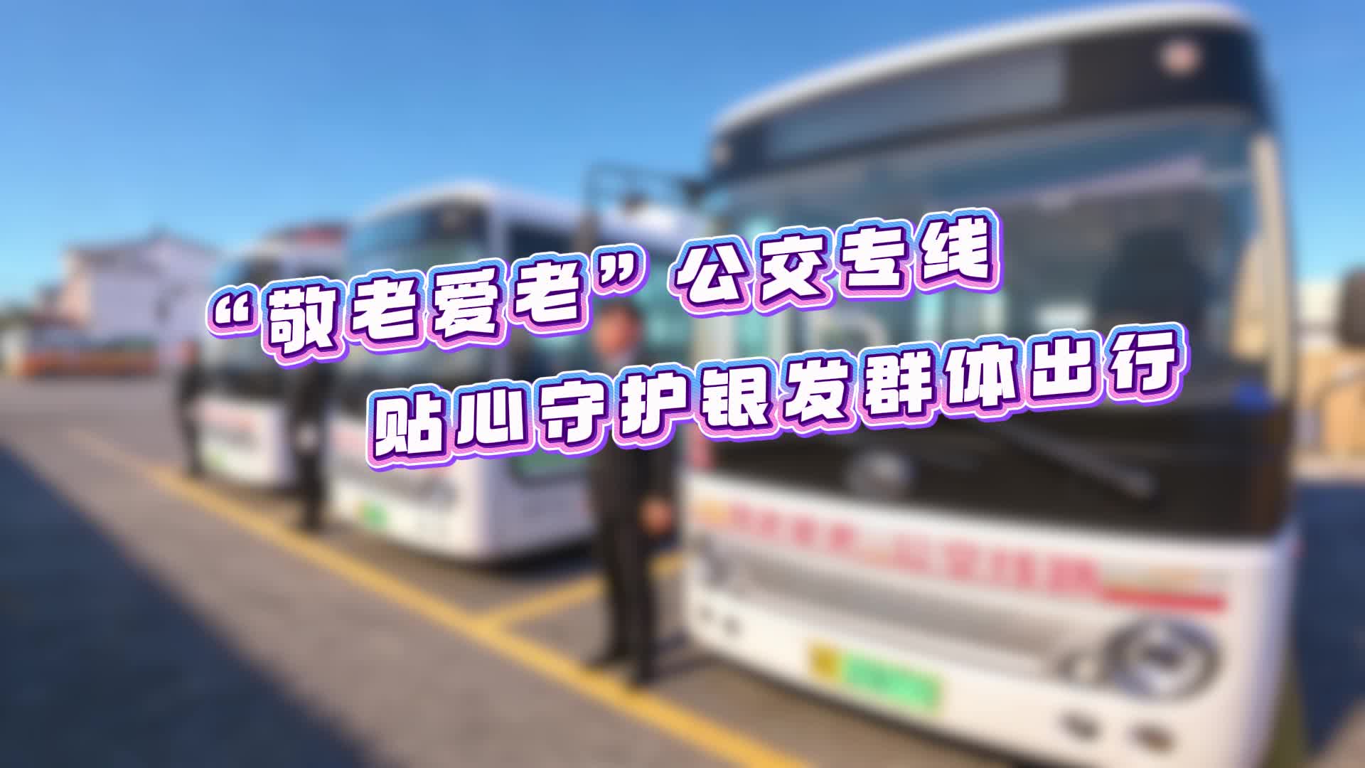 “敬老爱老”公交专线 贴心守护银发群体出行