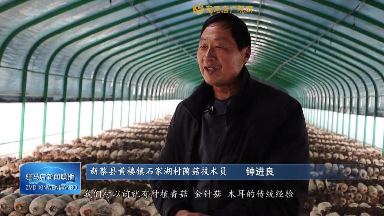 【一村一品话振兴】新蔡县黄楼镇石家湖村：小菌菇撑起村民“致富伞”