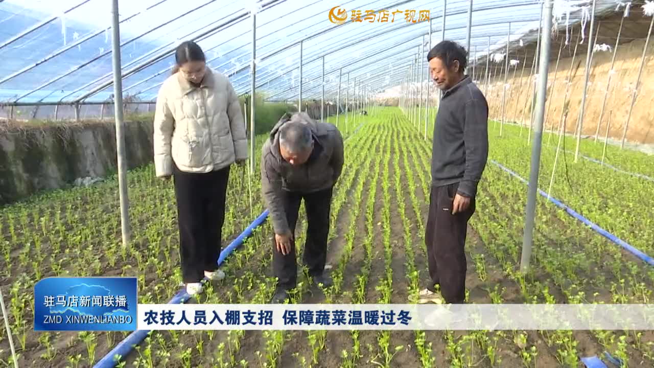 農技人員入棚支招 保障蔬菜溫暖過冬