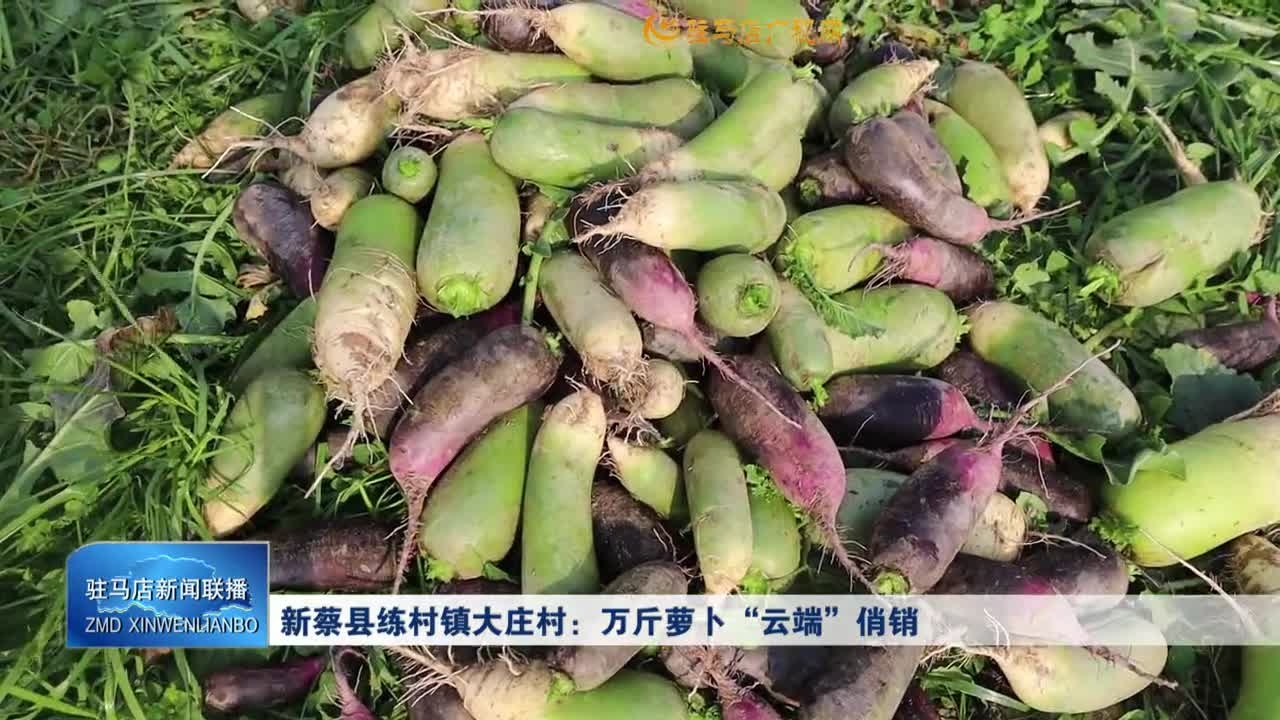 新蔡县练村镇大庄村：万斤萝卜“云端”俏销