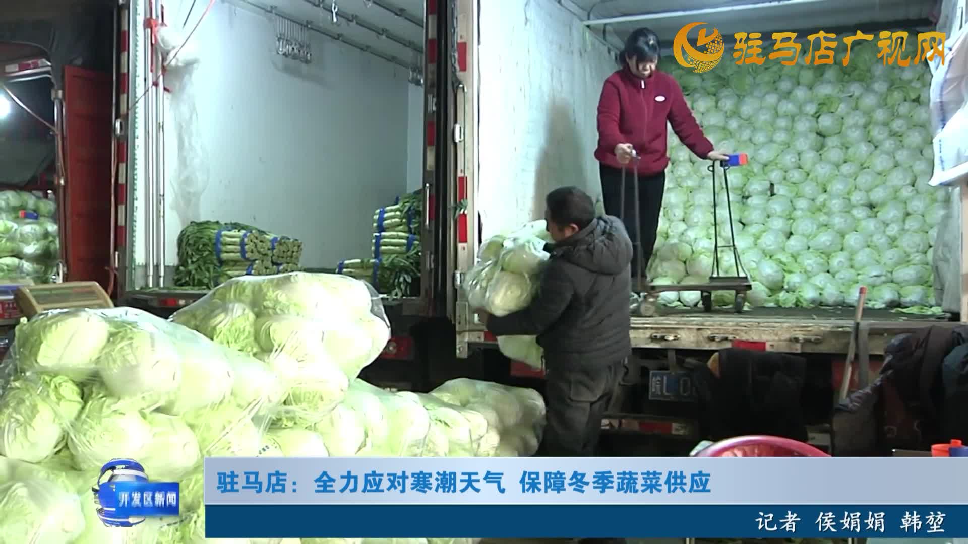 驻马店：全力应对寒潮天气 保障冬季蔬菜供应