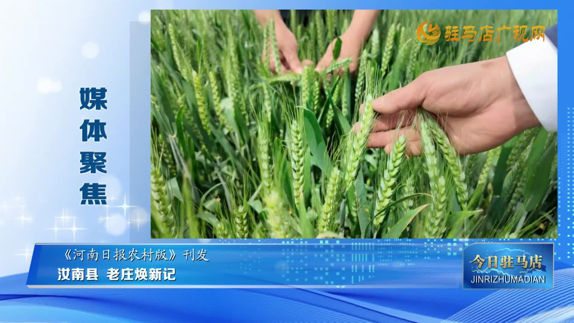 【媒體聚焦】汝南縣老莊煥新記