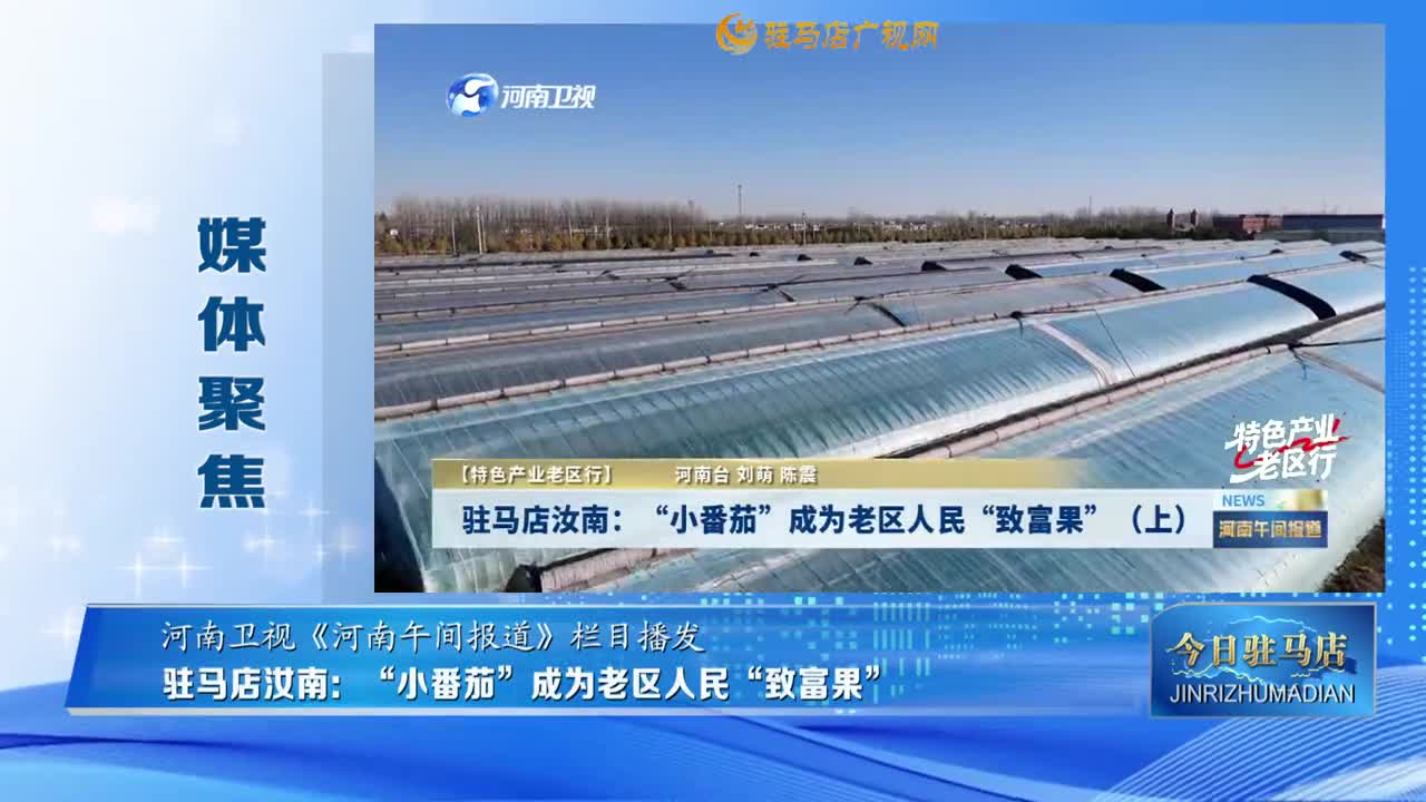 【媒體聚焦】駐馬店汝南：“小番茄”成為老區(qū)人民“致富果”（上）......