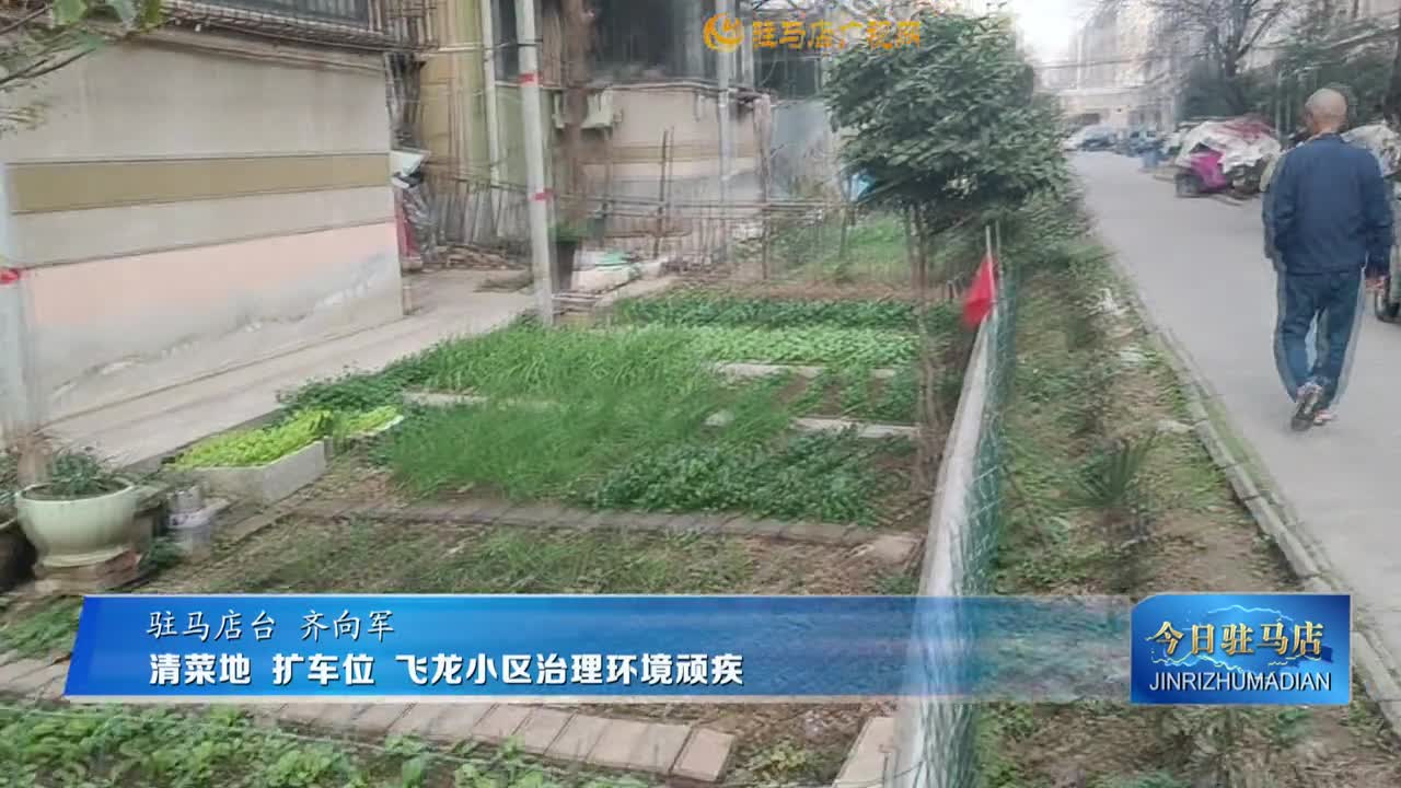 清菜地 擴車位 飛龍小區治理環境頑疾