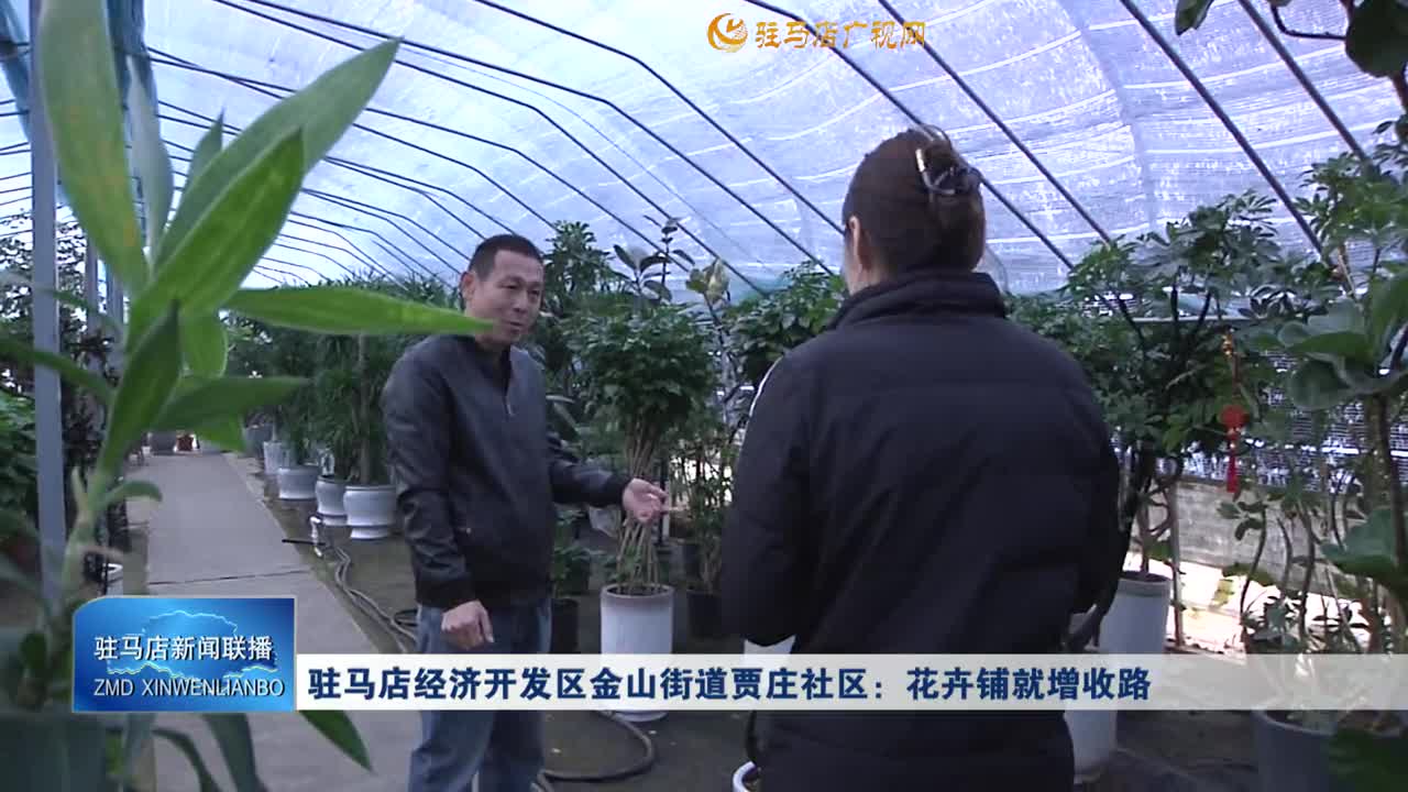 駐馬店經(jīng)濟開發(fā)區(qū)金山街道賈莊社區(qū)：花卉鋪就增收路