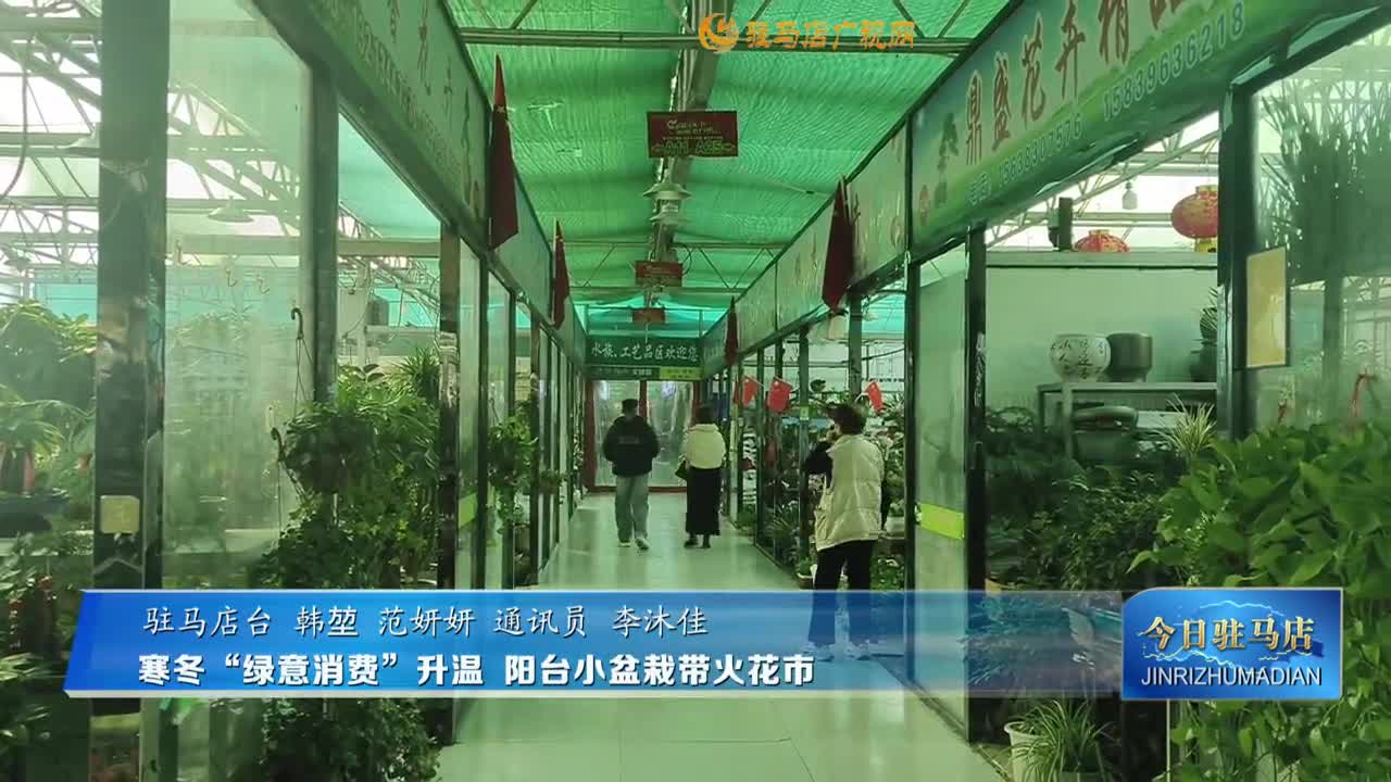 寒冬“綠意消費”升溫 陽臺小盆栽帶火花市
