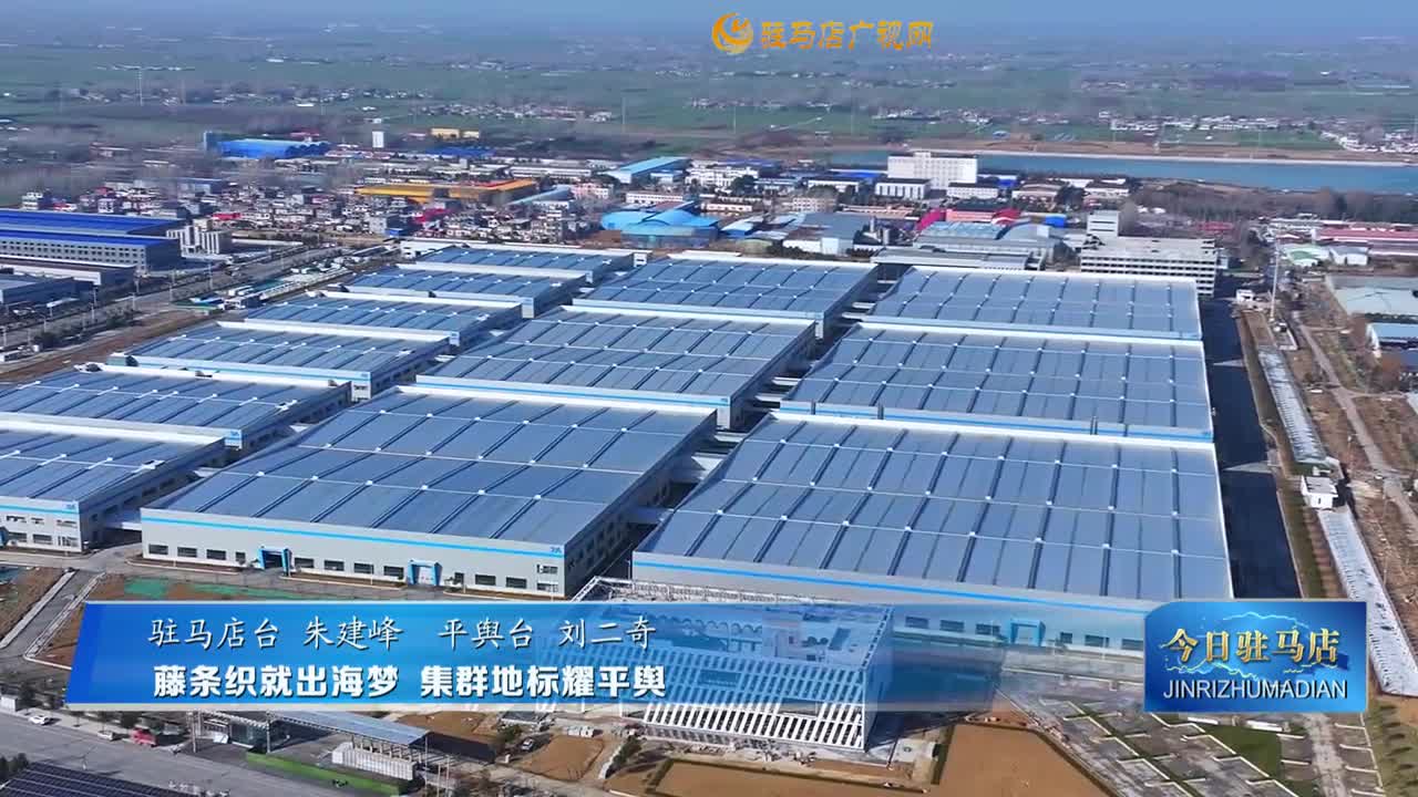 藤条织就出海梦 集群地标耀平舆