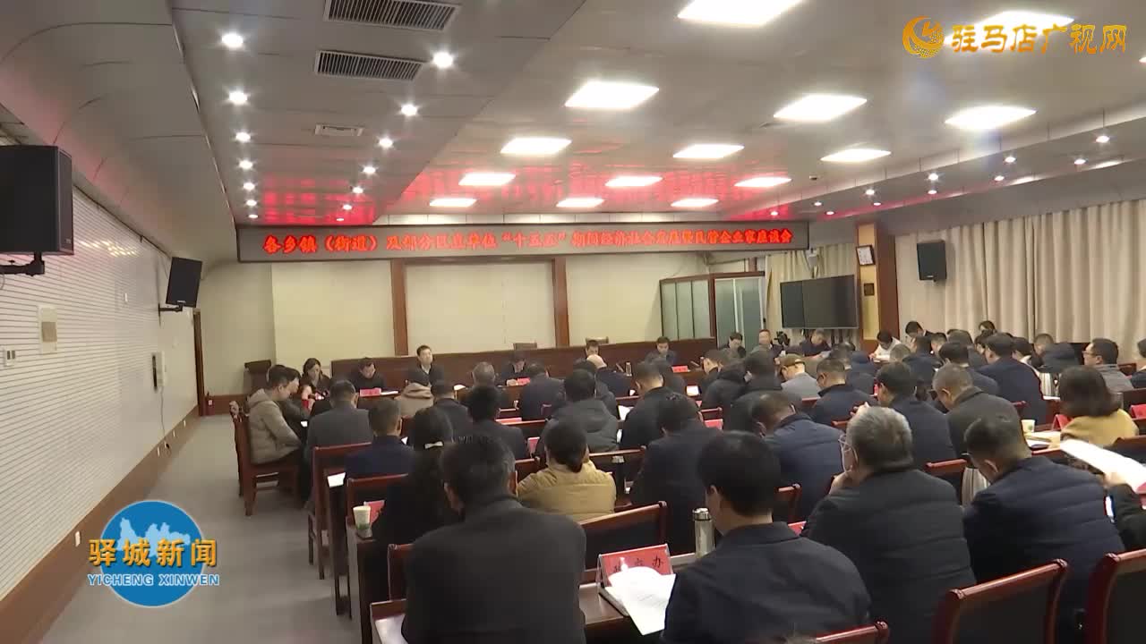 驿城区召开各乡镇（街道）及部分区直单位“十五五”时期经济社会发展暨民营企业家座谈会