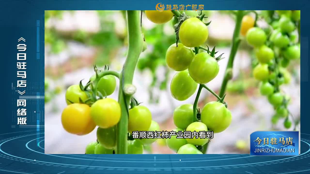 2022.12.22——《今日驻马店》网络版