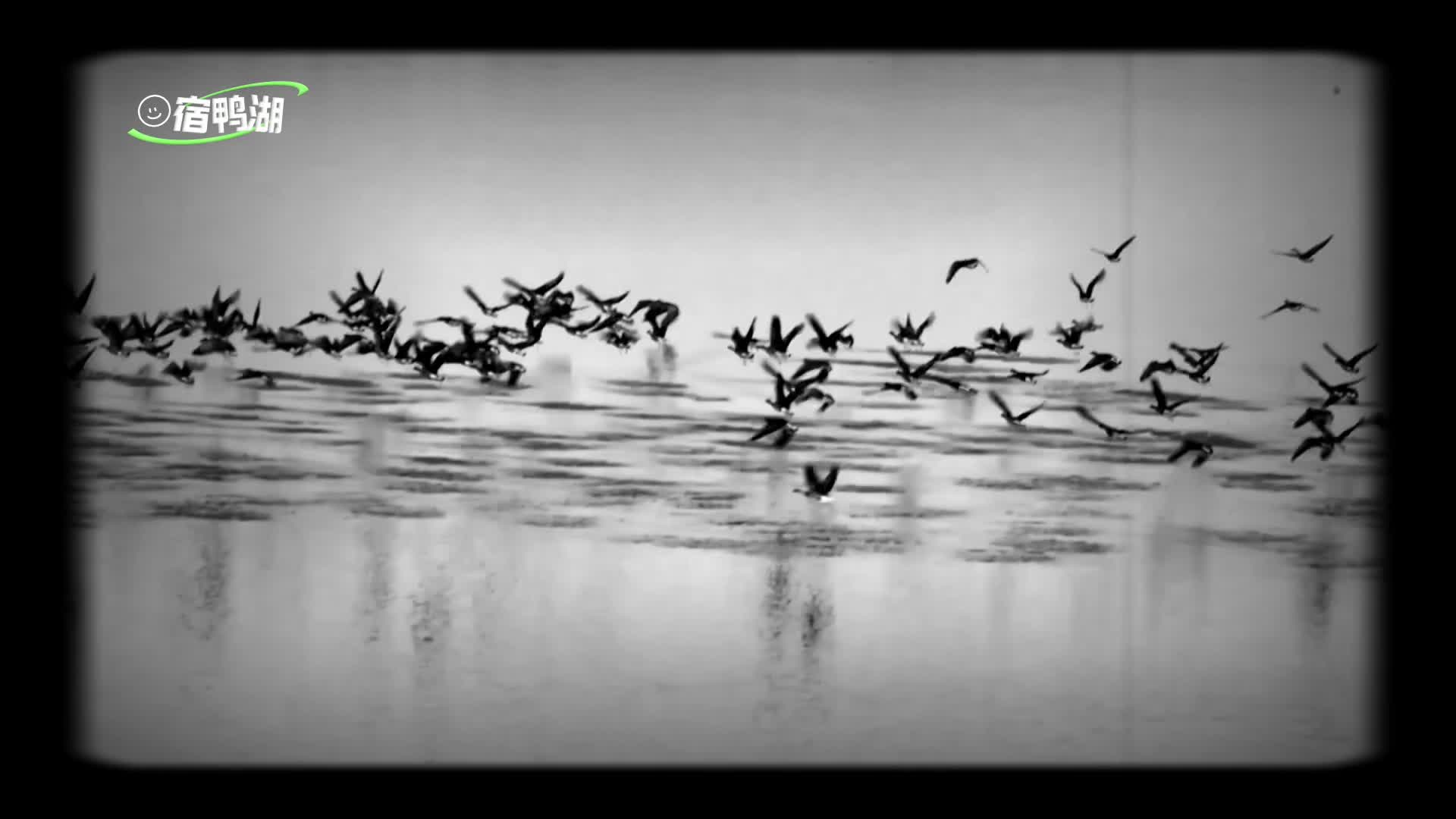 用电影《得闲谨制》的方式打开驻马店#得闲谨制#得闲谨制默片#驻马店