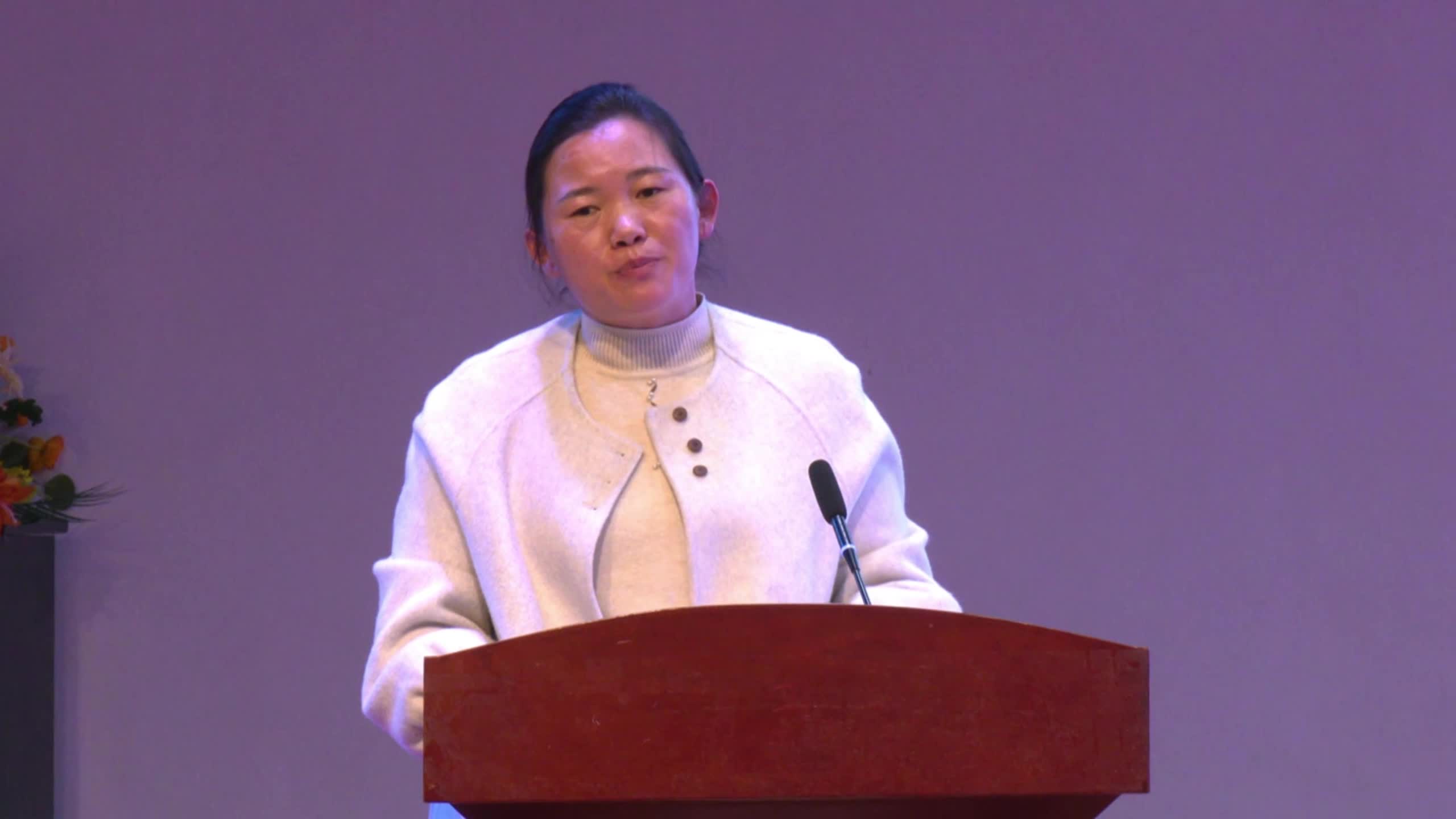 驻马店市“弘扬践行教育家精神”优秀教师巡回报告会—确山县任店镇吴湾小学教师：丁玉梅