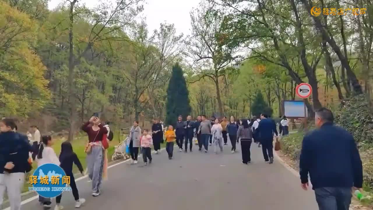 金顶山景区推出13天免票活动  邀客畅享冬日限定风光