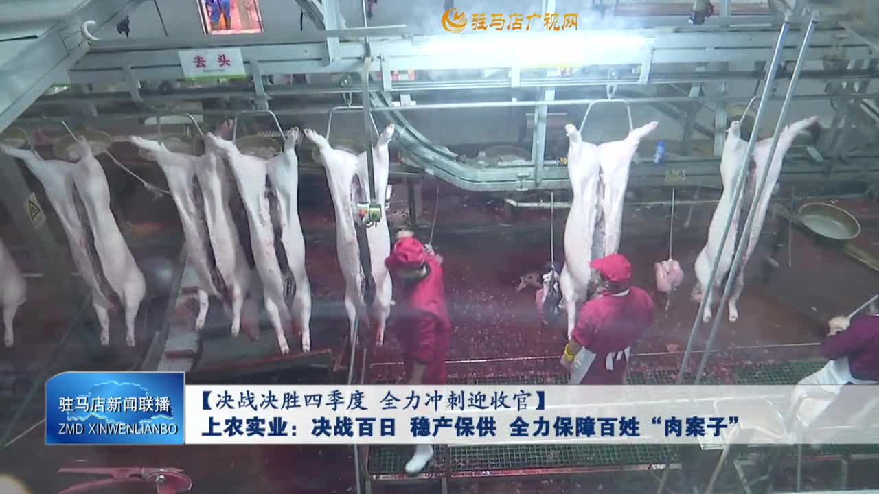 【决战决胜四季度 全力冲刺迎收官】上农实业：决战百日 稳产保供 全力保障百姓“肉案子”