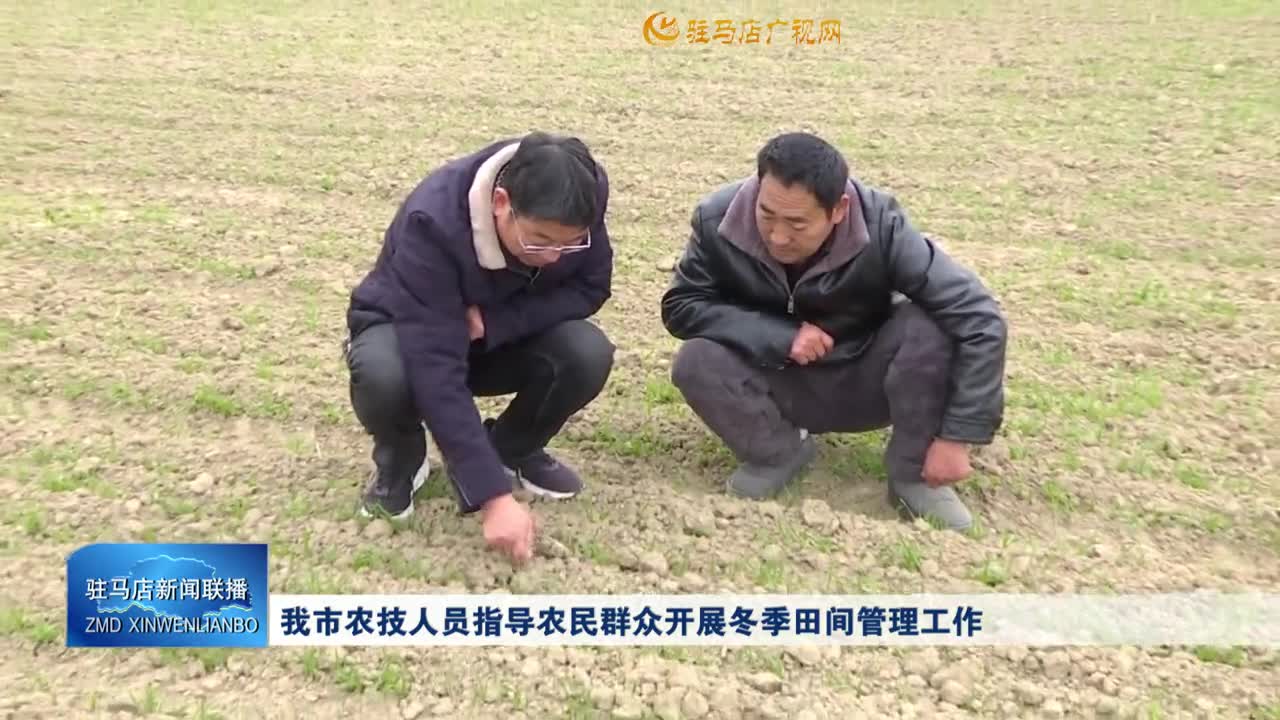 我市农技人员指导农民群众开展冬季田间管理工作