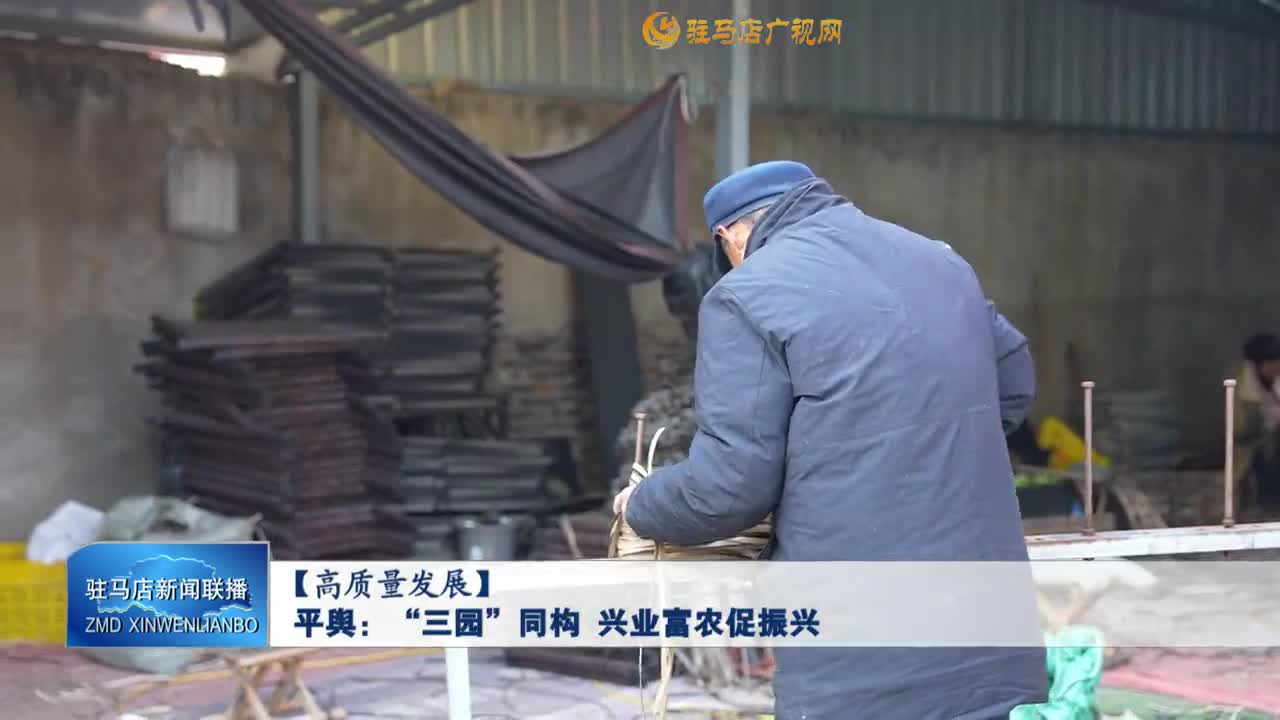 【高质量发展】平舆：“三园”同构 兴业富农促振兴