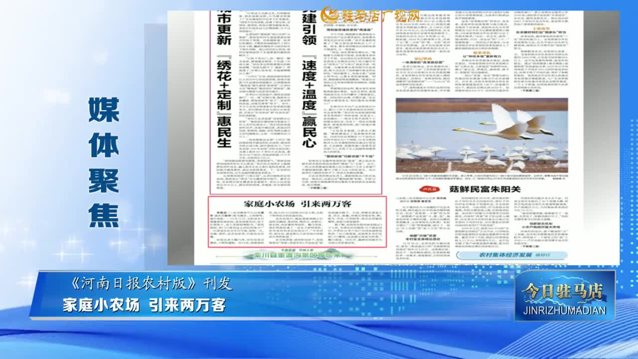 【媒体聚焦】家庭小农场 引来两万客......