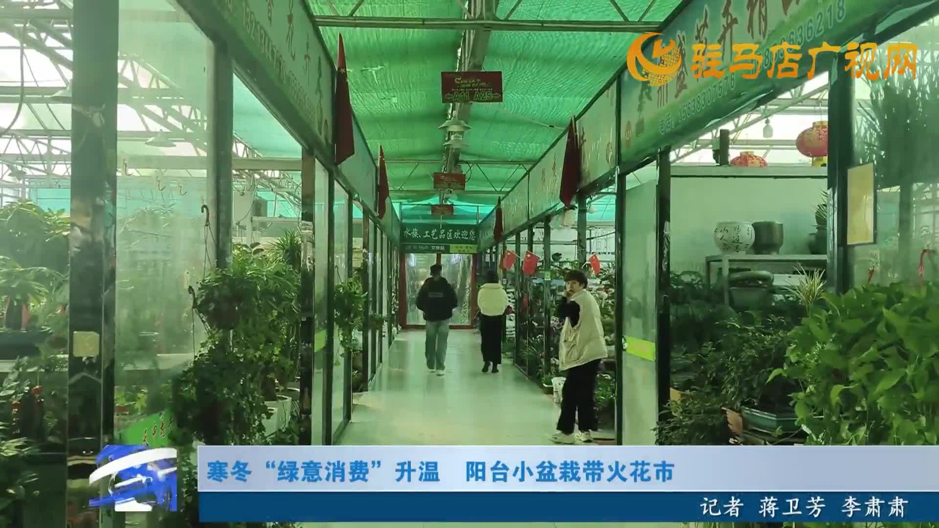 开发区新闻《2025年12月26日》