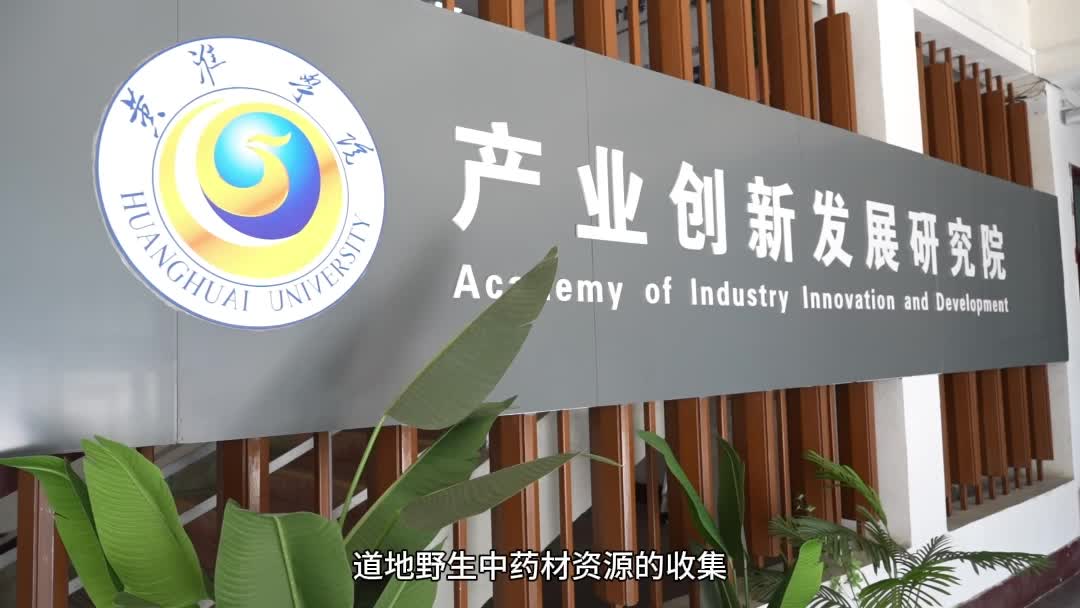 黄淮学院团队培育“汝半夏1号”通过省级鉴定 为豫南中药材产业振兴注入新动能