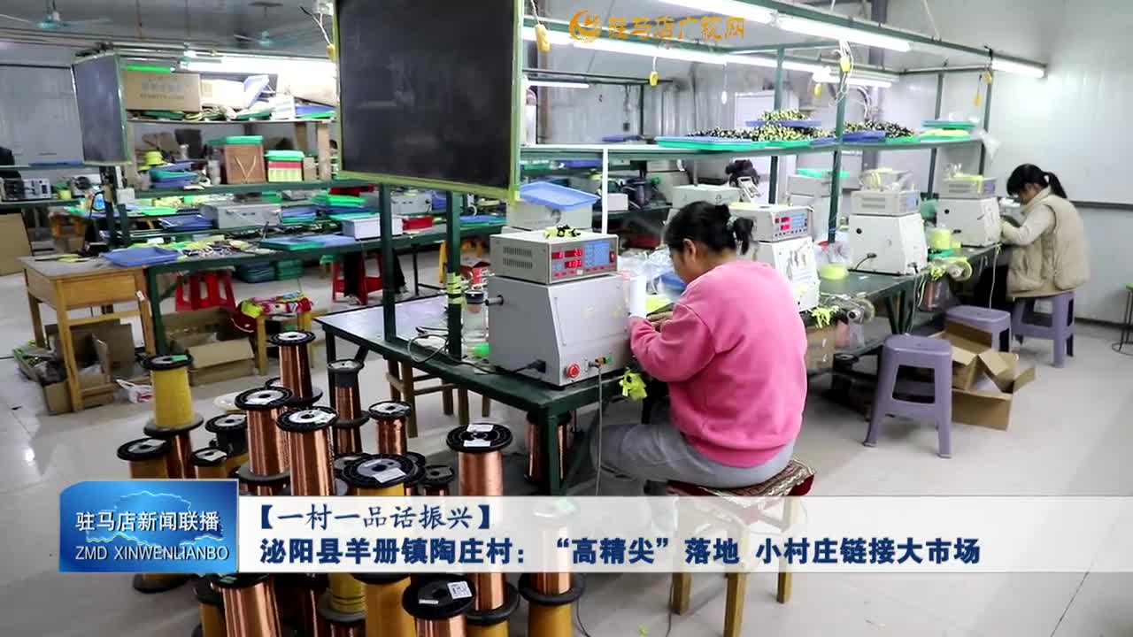 【一村一品话振兴】泌阳县羊册镇陶庄村：“高精尖”企业落地 小村庄链接大市场
