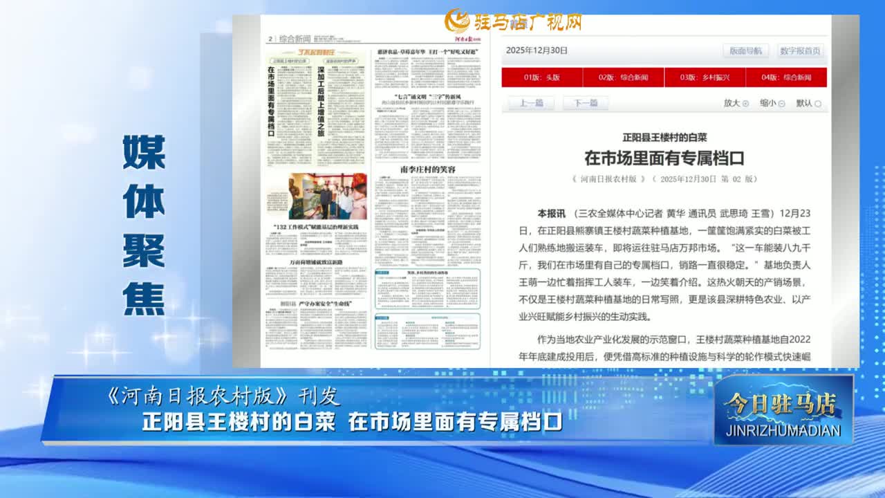 【媒体聚焦】正阳县王楼村的白菜 在市场里面有专属档口......