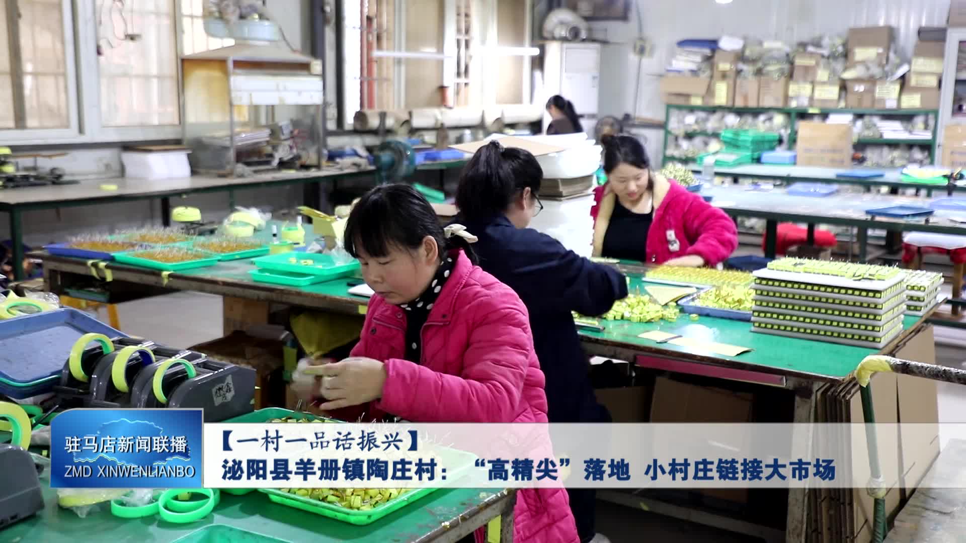 泌阳县羊册镇陶庄村：“高精尖”企业落地 小村庄链接大市场