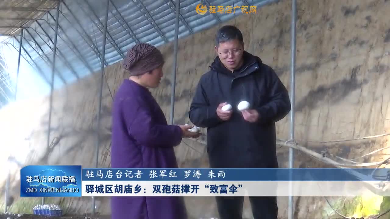 驿城区胡庙乡：双孢菇撑开“致富伞”