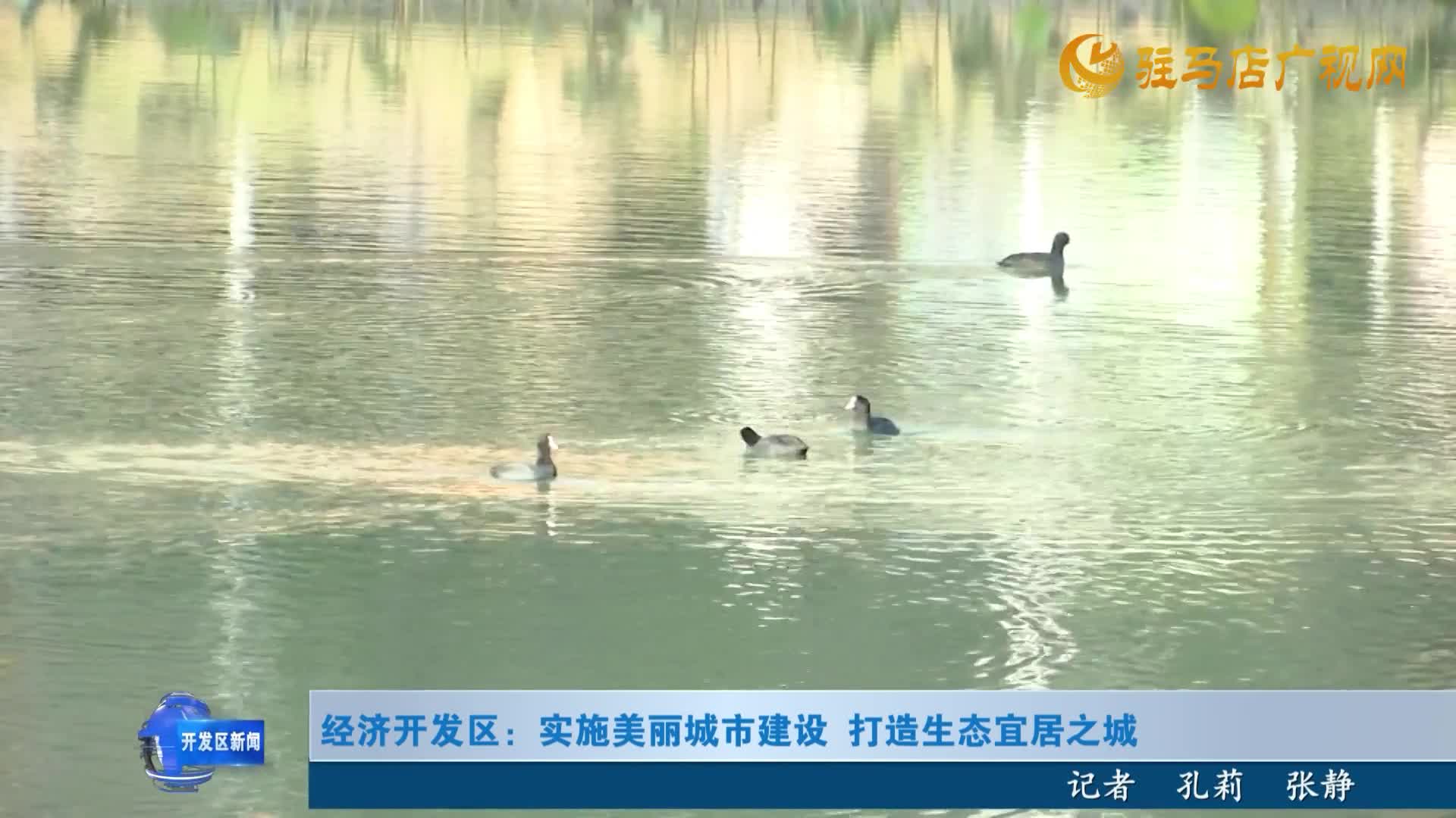 经济开发区：实施美丽城市建设 打造生态宜居之城