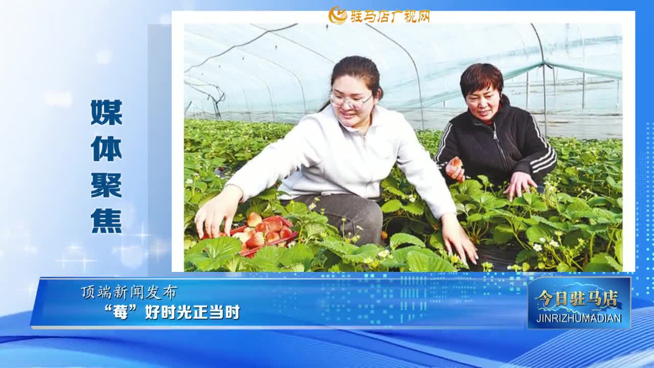 【媒体聚焦】“莓”好时光正当时......