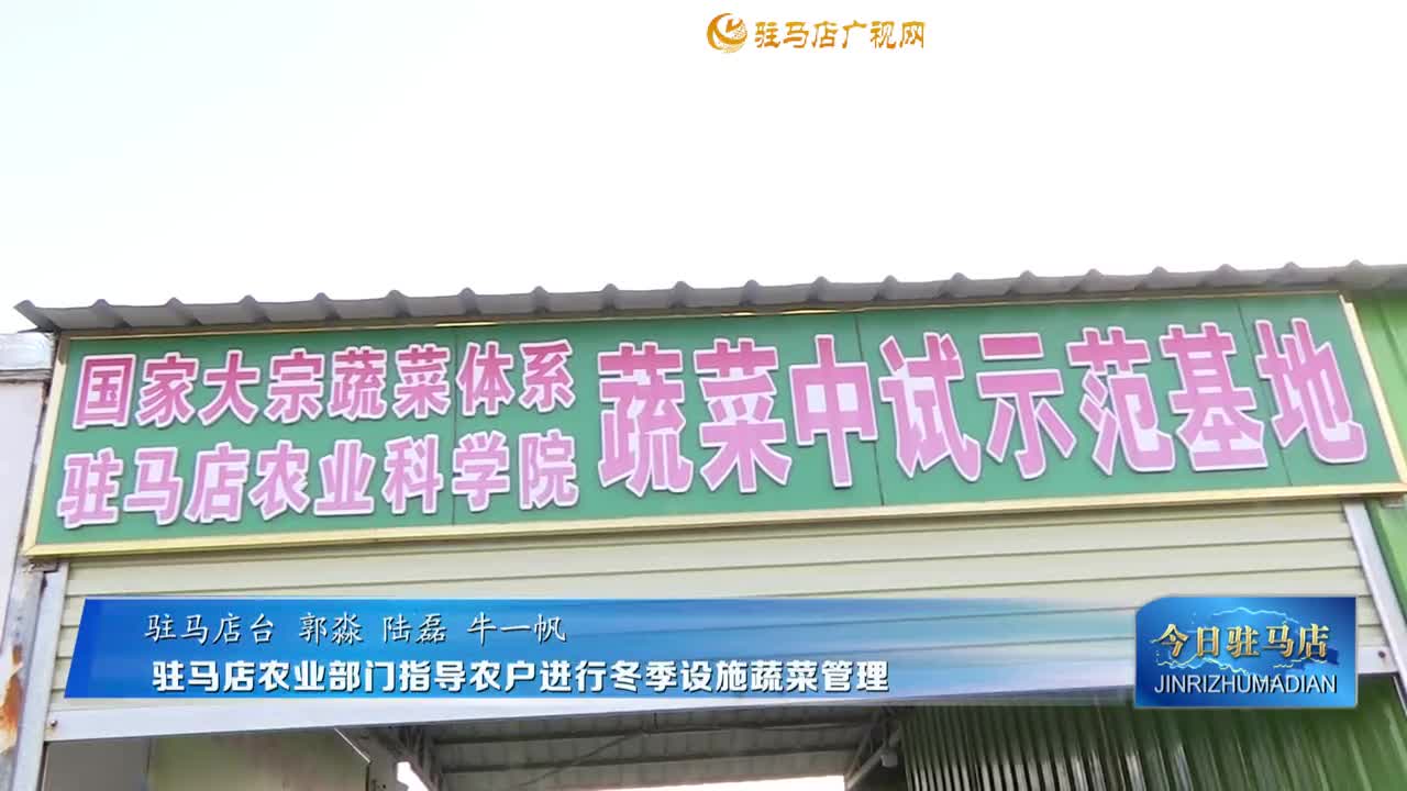 驻马店农业部门指导农户进行冬季设施蔬菜管理