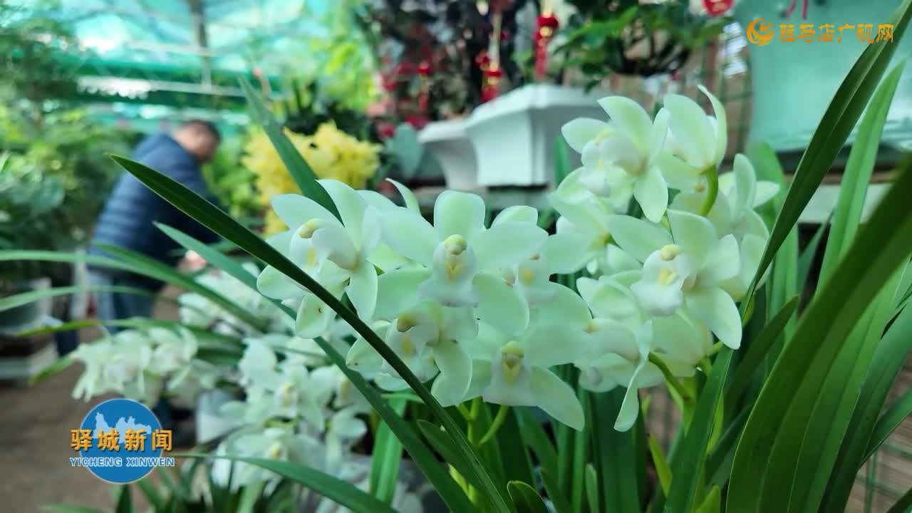 花卉市场迎来热销 “美丽经济”激发消费新活力