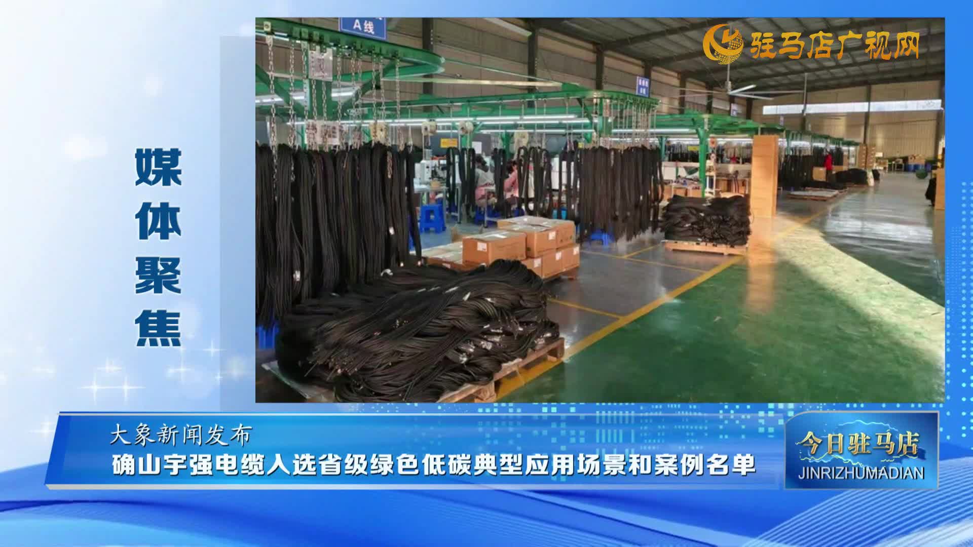 【媒体聚焦】驻马店新蔡：服务前置 暖心电迎新春