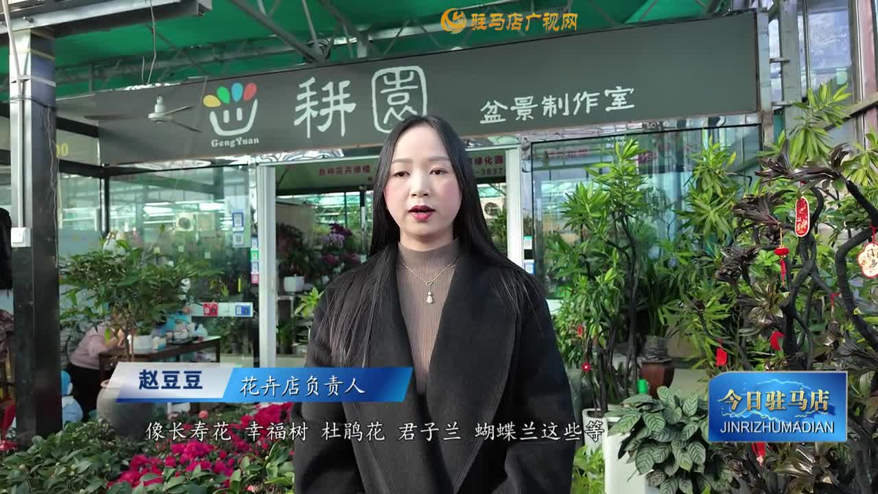 花卉市場升溫 “美麗經(jīng)濟(jì)”添年味
