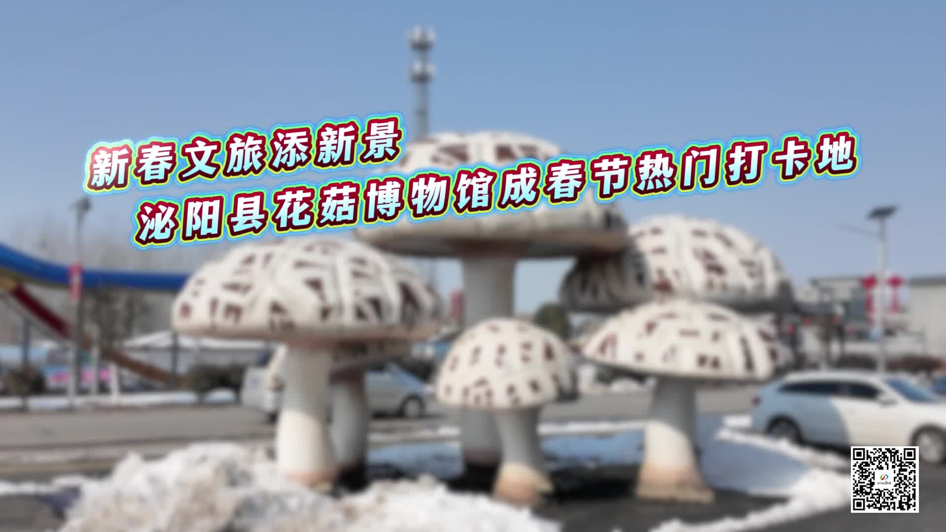 新春文旅添新景 泌阳县花菇博物馆成春节热门打卡地