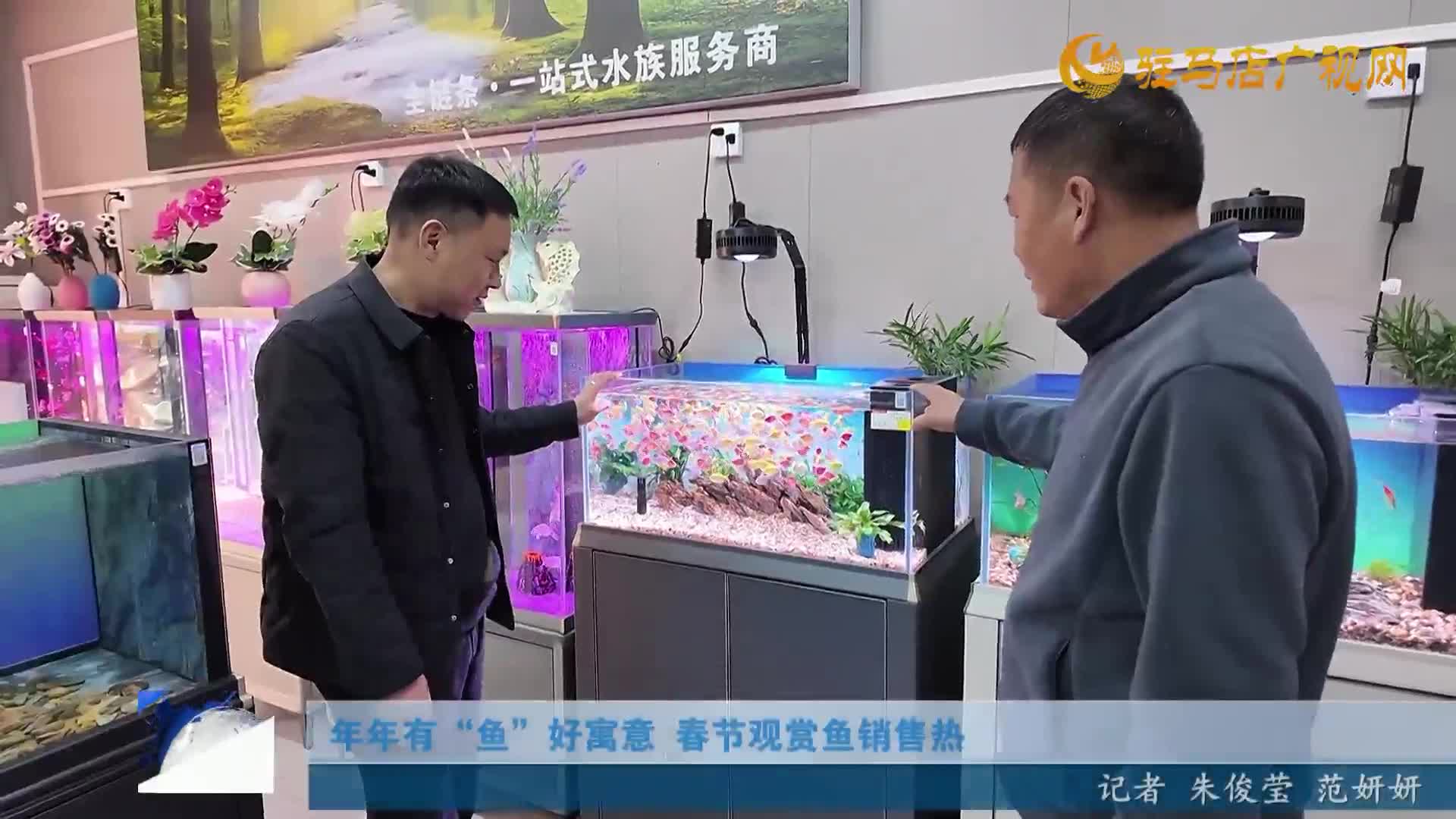 開發(fā)區(qū)新聞《2026年02月27日》