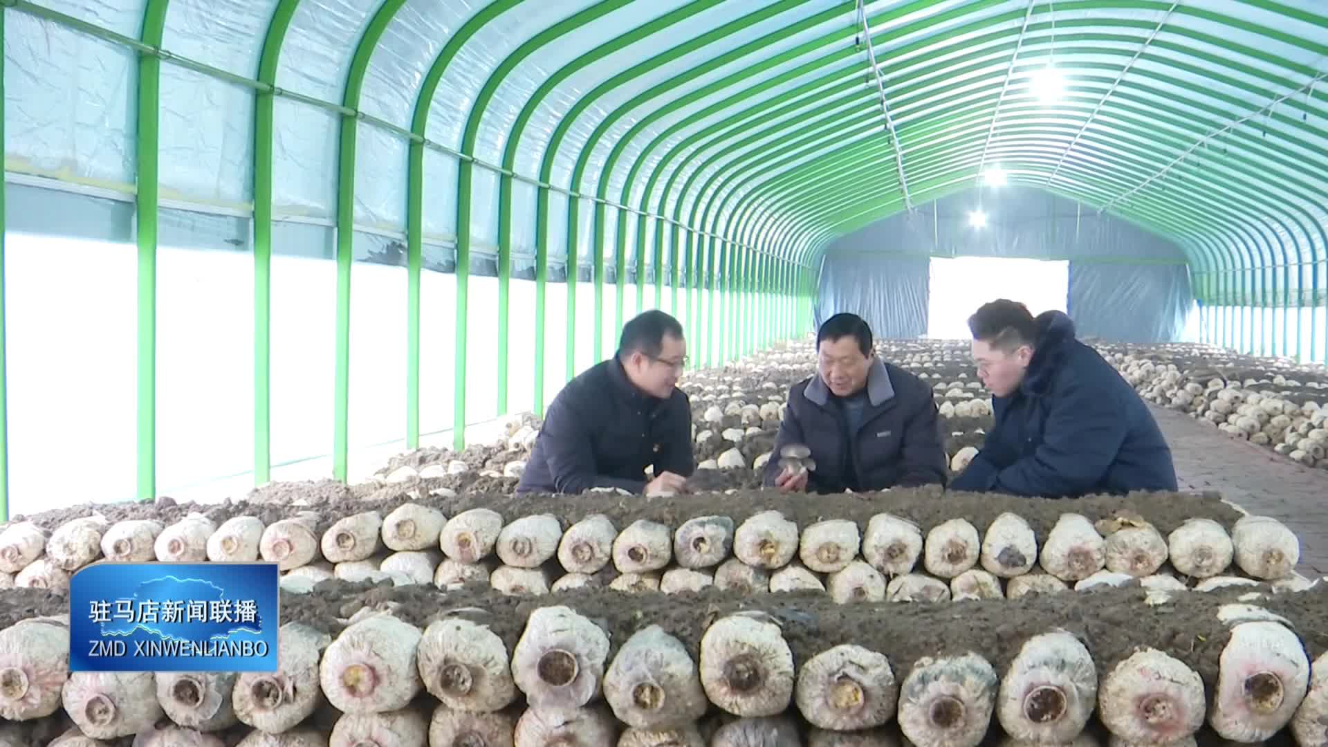 正陽(yáng)建工集團(tuán)  新蔡縣黃樓鎮(zhèn)石家湖村：讓黨的二十屆四中全會(huì)精神在基層結(jié)出豐碩成果