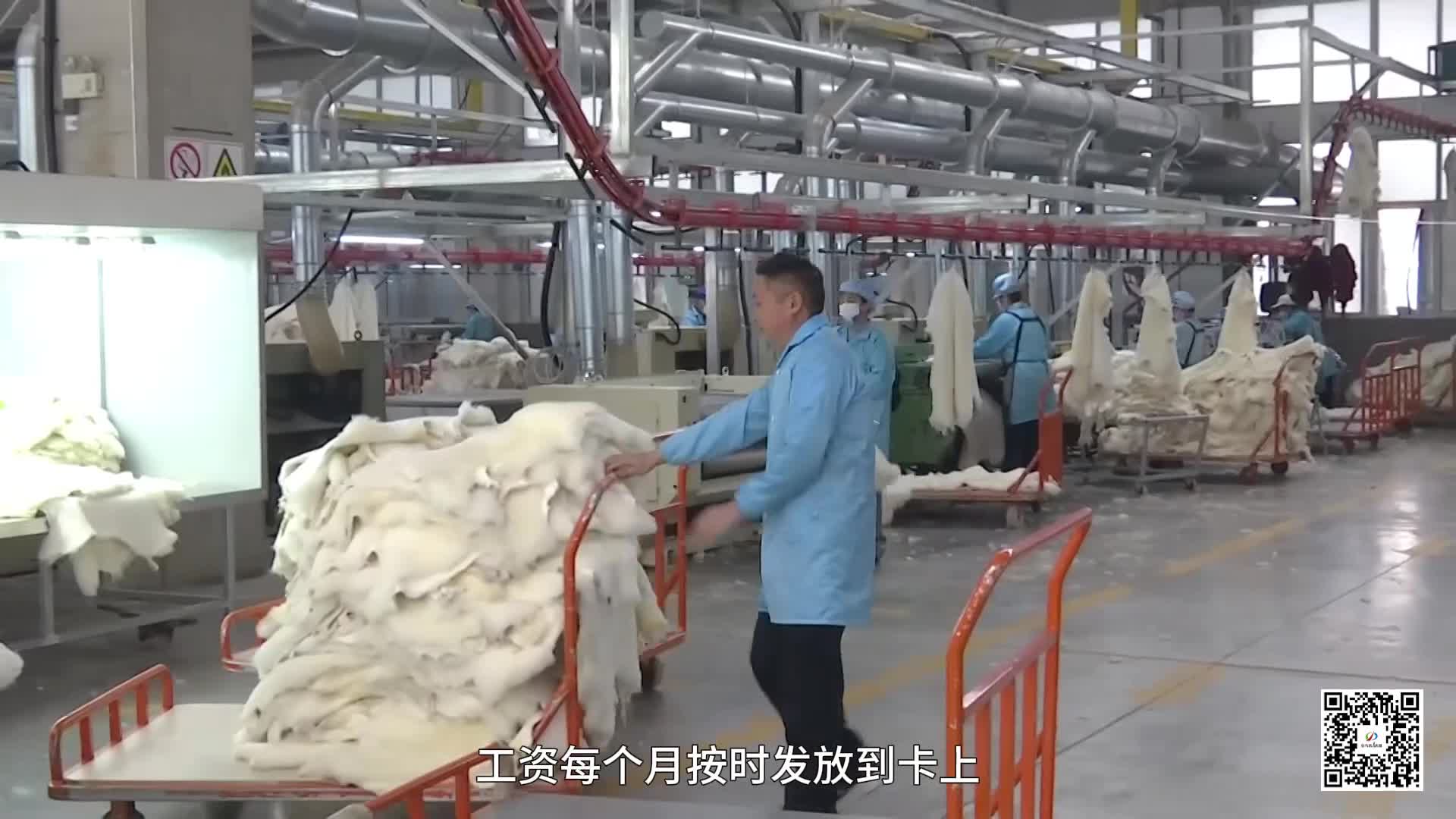 上蔡：人勤春早复工忙 “家门口”就业成“香饽饽”