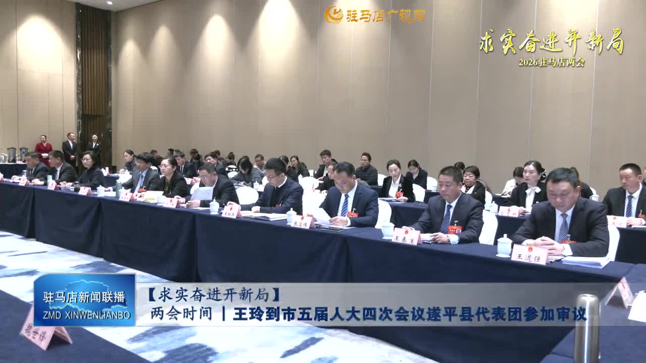 【求實(shí)奮進(jìn)開新局】兩會時(shí)間丨王玲到市五屆人大四次會議遂平縣代表團(tuán)參加審議