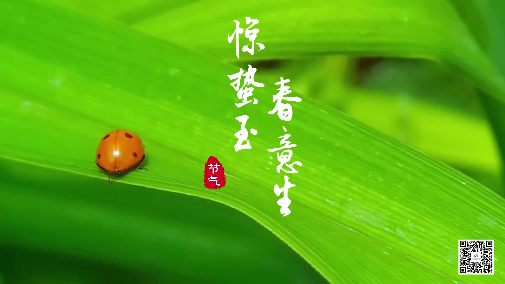 惊蛰至，春意生