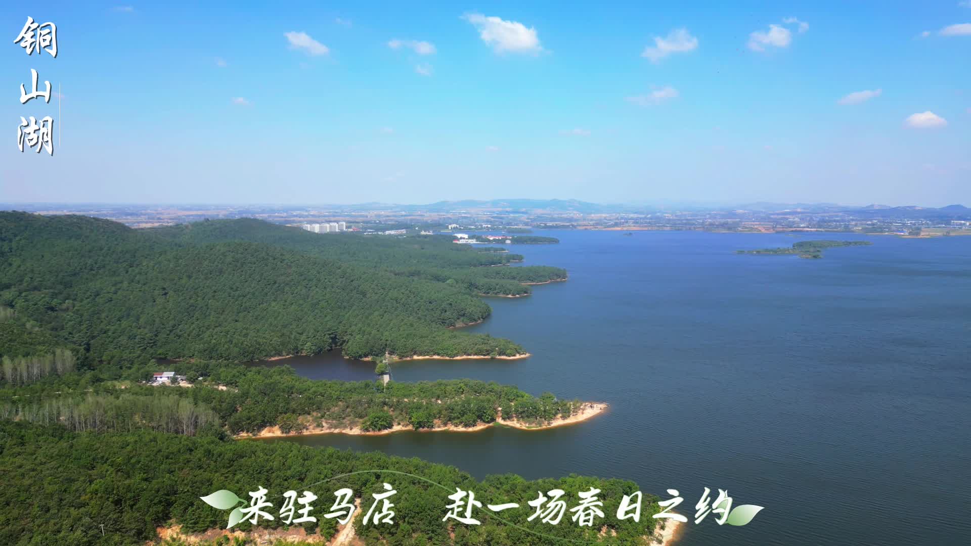 惊蛰已至，万物萌新。愿你心有回响，所有美好，都随春风款款而至。