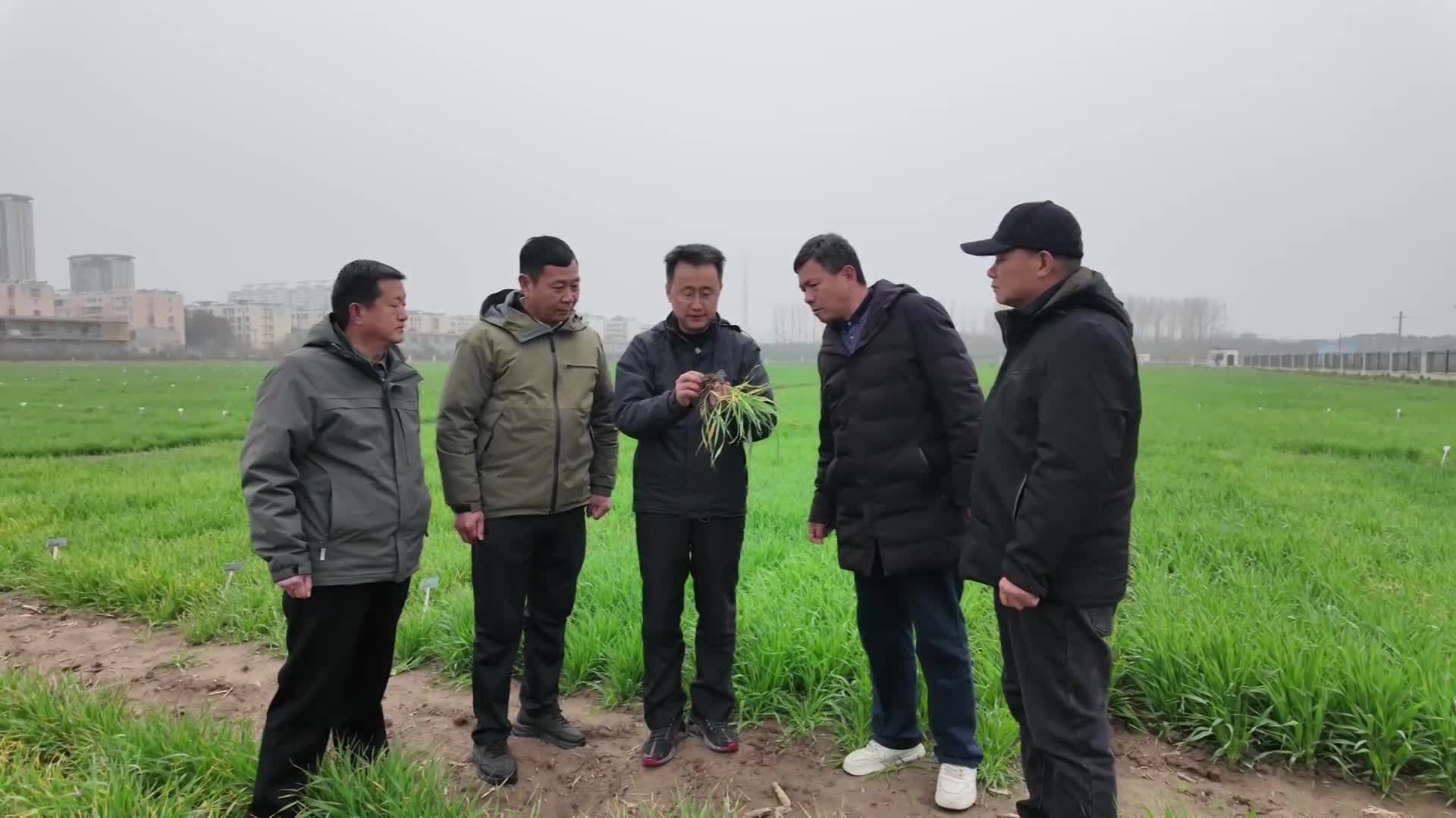 市农科院专家深入田间地头科学指导我市春季大麦田间管理