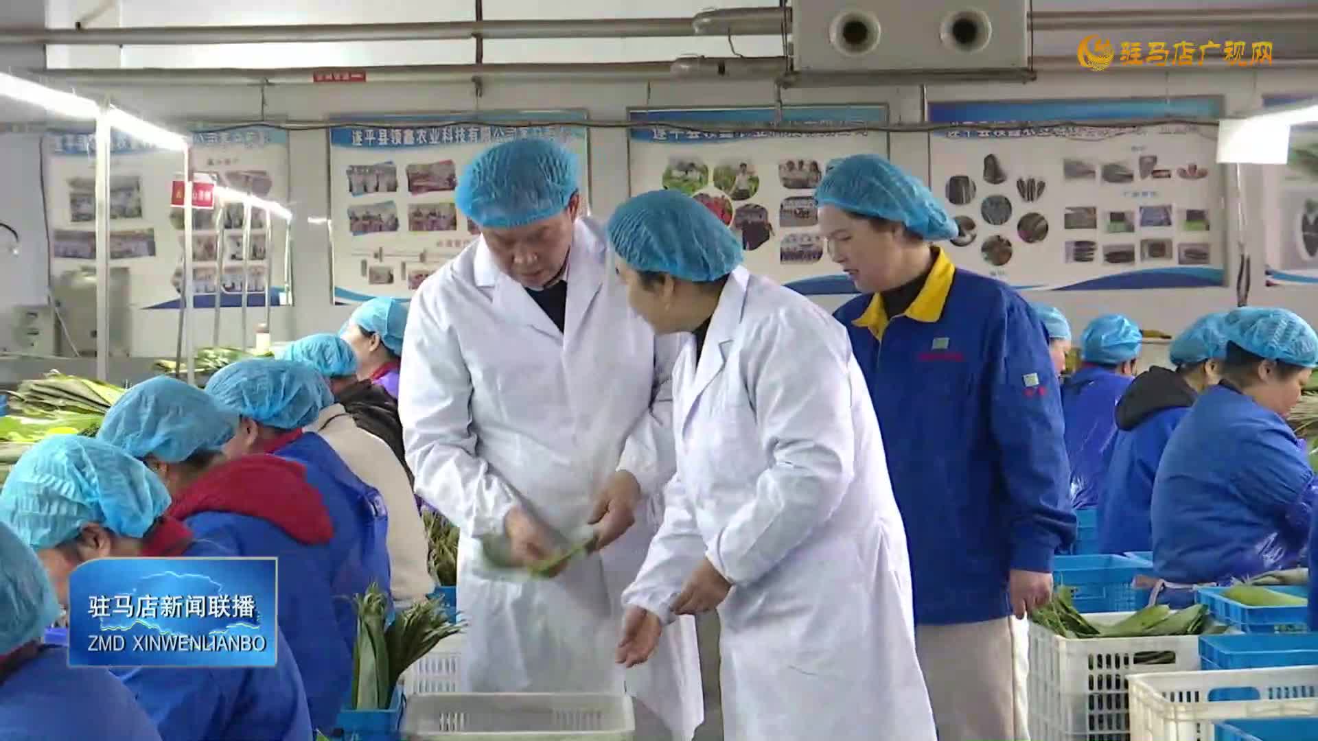 遂平縣領(lǐng)鑫農(nóng)業(yè)：開足馬力趕訂單 奮力沖刺一季度“開門紅”