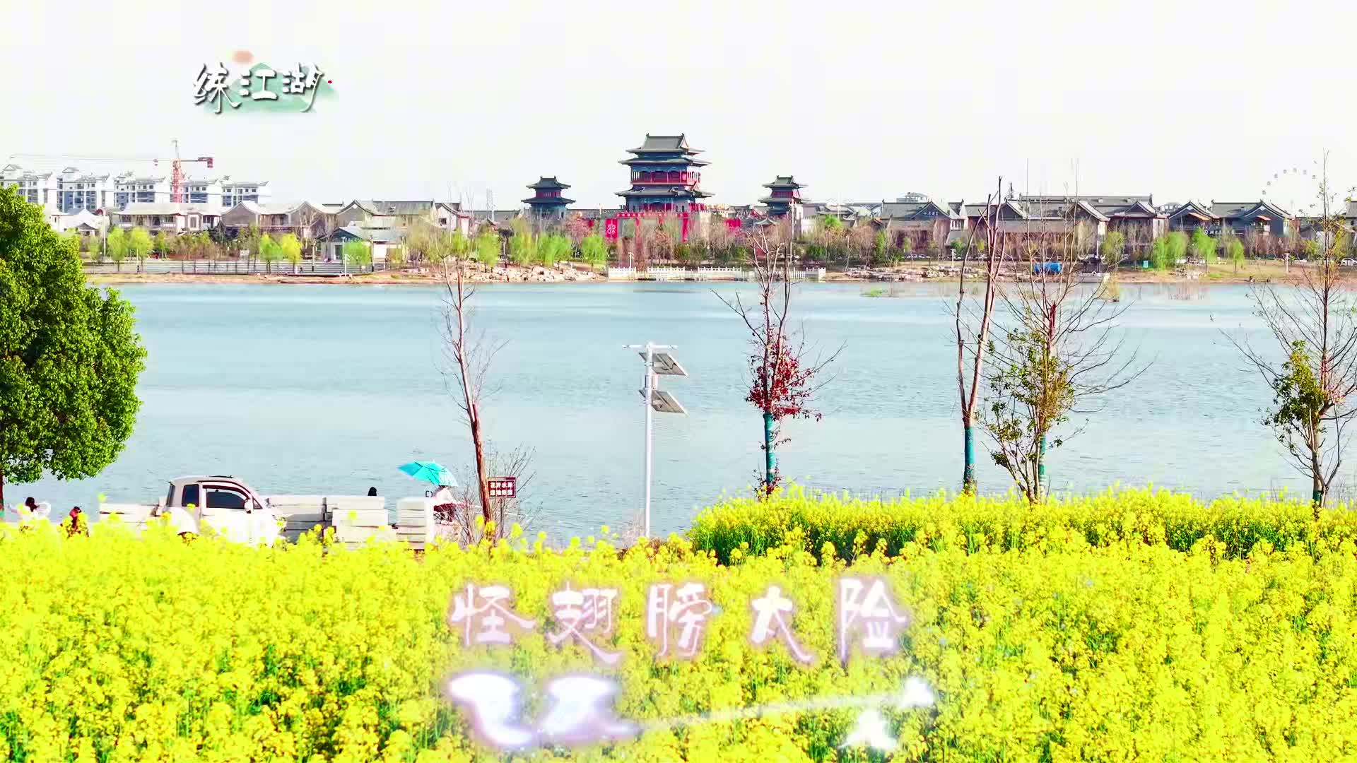 当我画了一个问号，就能看到....#探春令#春天#驻马店