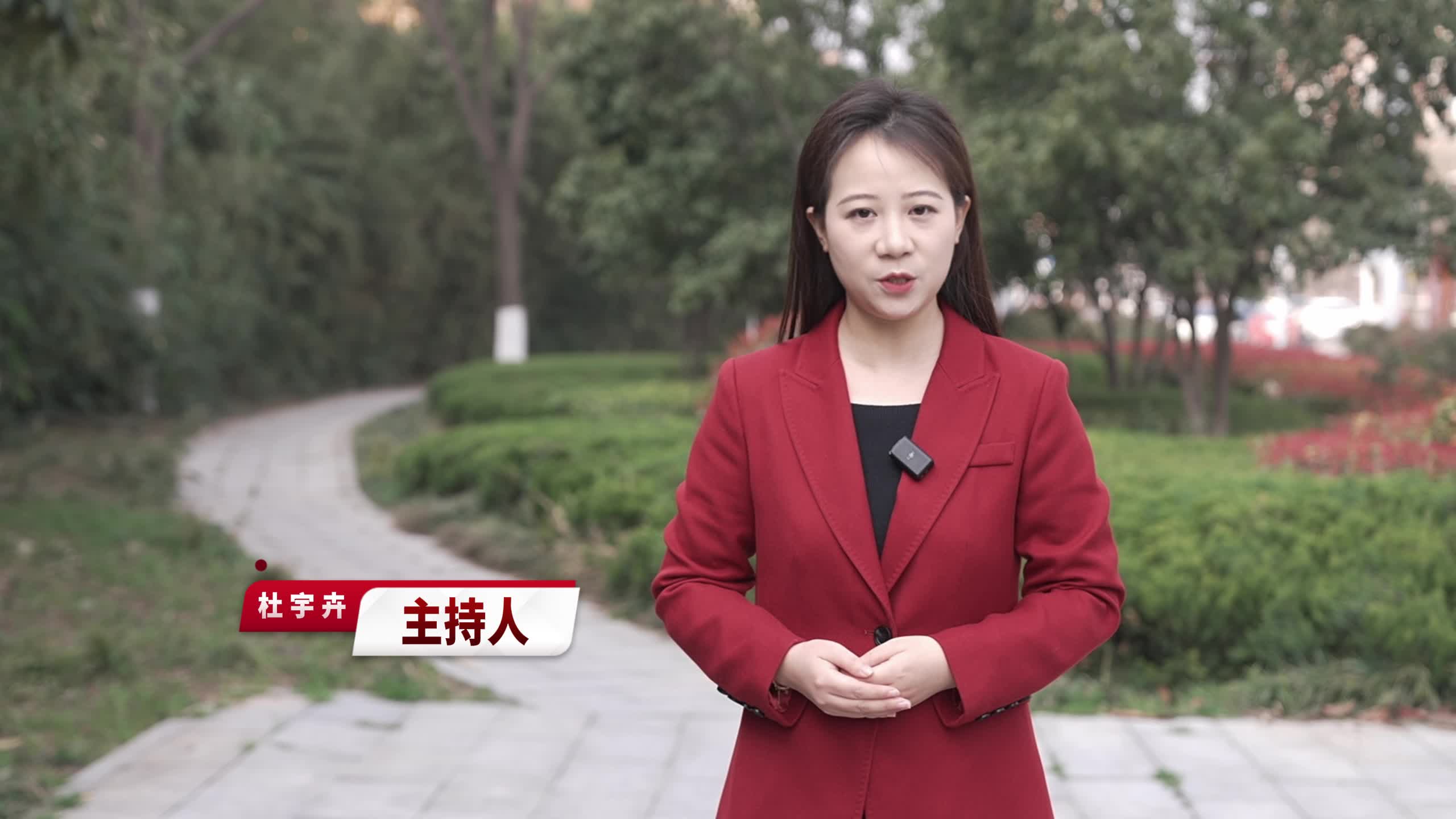 《教育人在两会专访》——驻马店市政协委员王坤辉