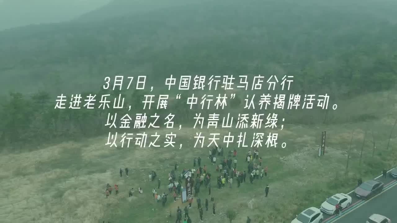 “中”护青山 “银”在未来—中国银行驻马店分行举行“中行林”揭牌仪式
