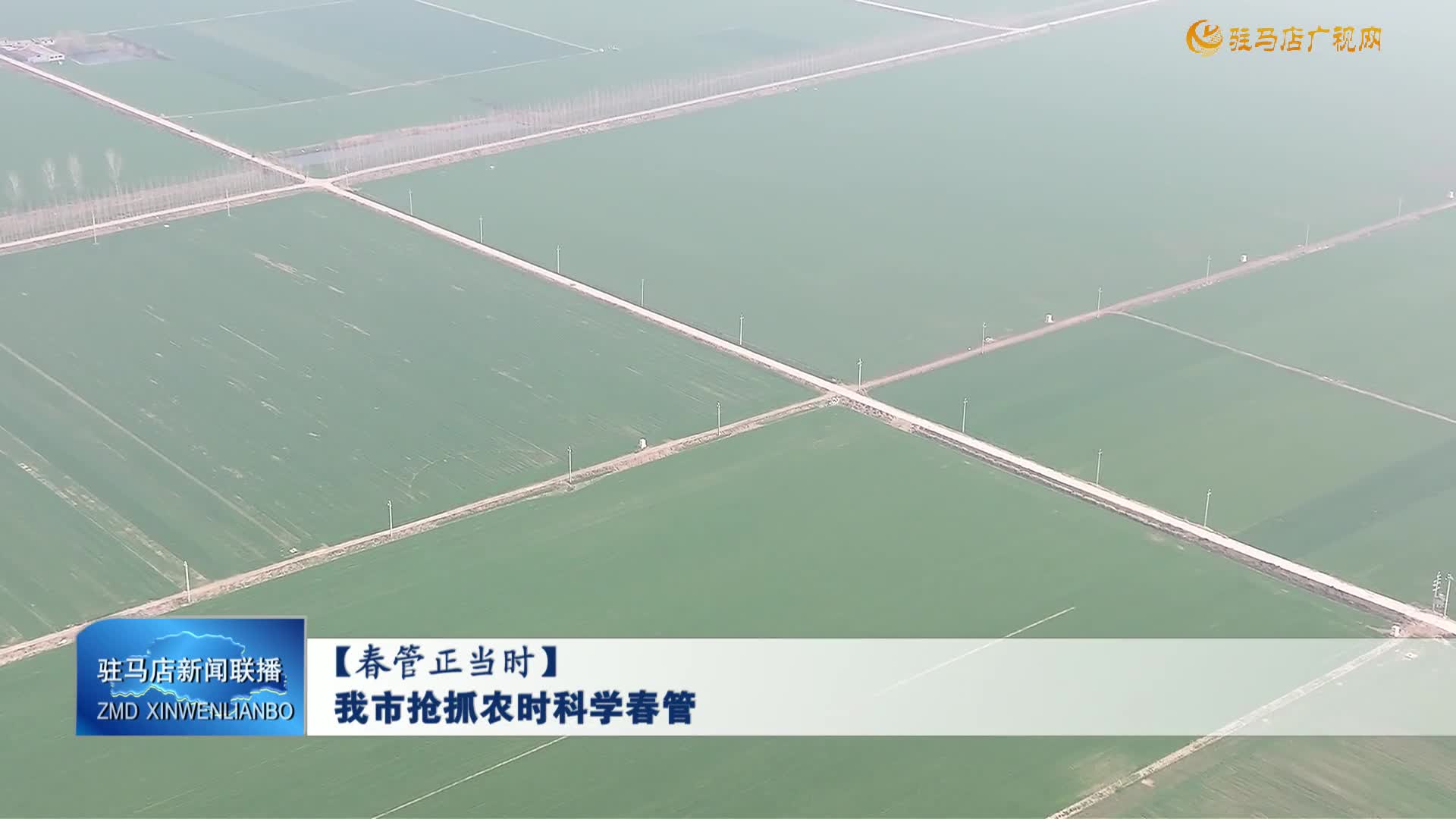 【春管正當時】我市搶抓農(nóng)時科學春管