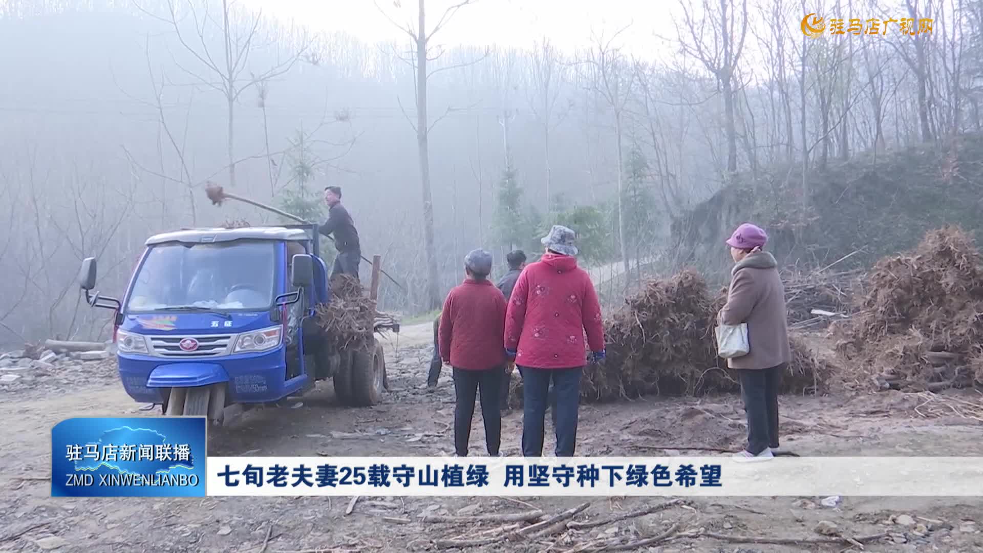 七旬老夫妻25載守山植綠 用堅守種下綠色希望