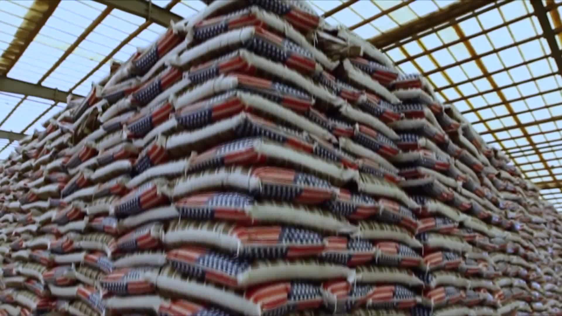 史丹利遂平公司：开足马力战春耕 全力冲刺一季度“开门红”