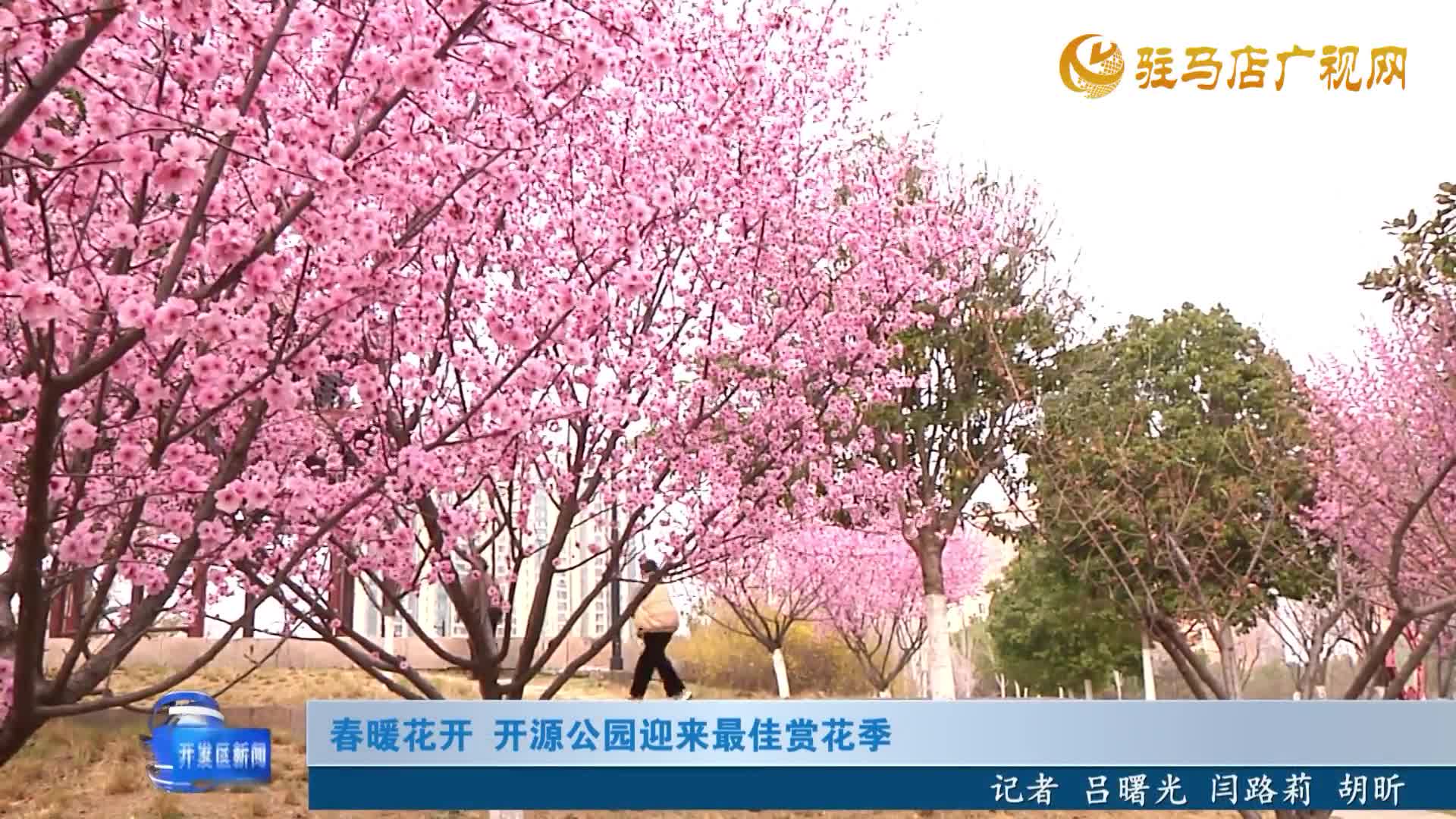 春暖花开 开源公园迎来最佳赏花季