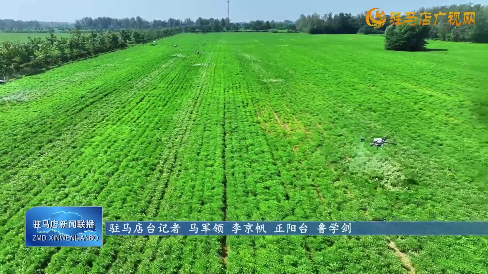 【第一書記話振興】鄭?。鹤屴r(nóng)產(chǎn)品“花式”出村 蹚出鄉(xiāng)村振興致富路