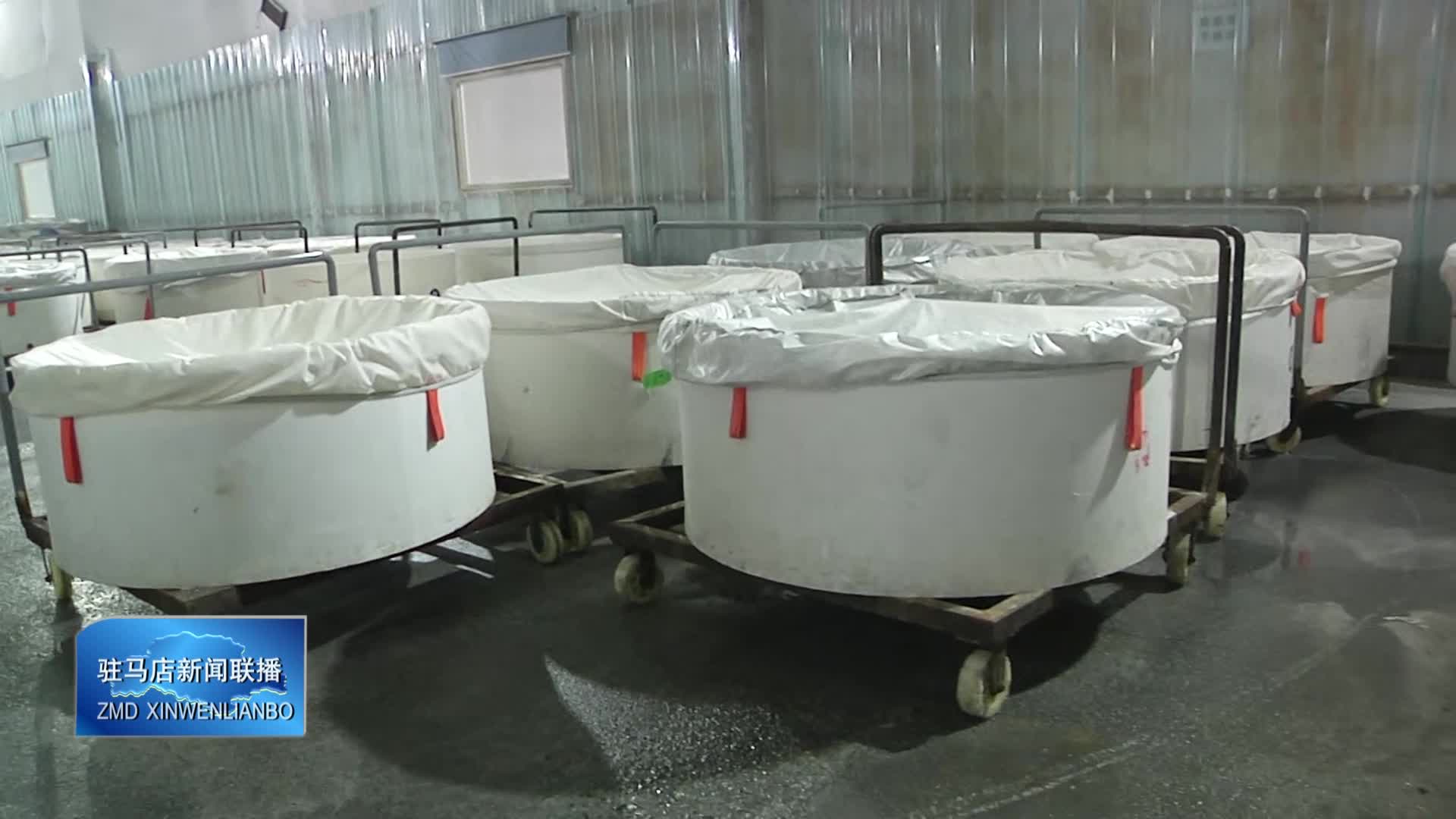 【驻马店新闻联播】驻马店博越光电有限公司：满负荷生产 力争实现首季“开门红”